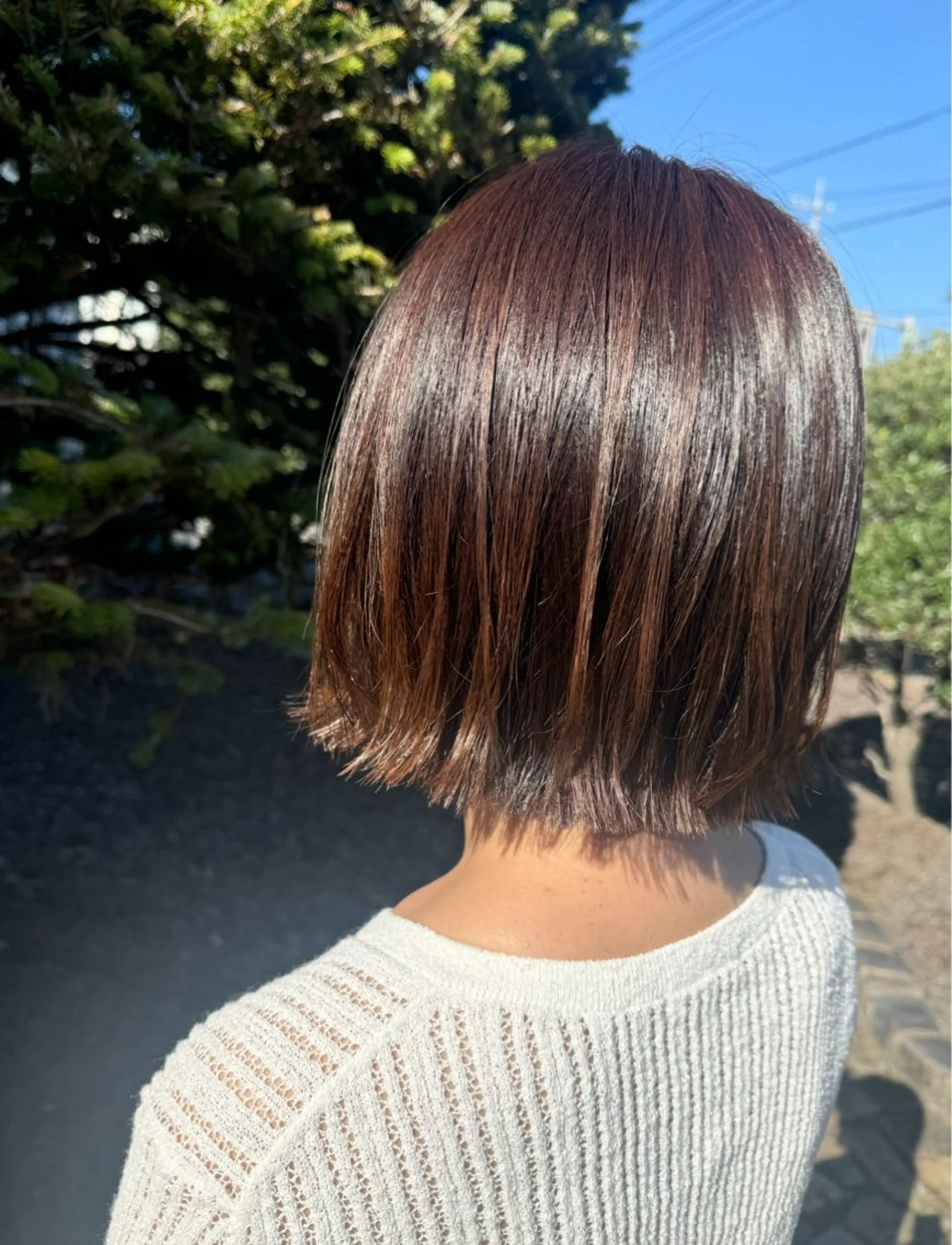 木・金限定✂️カット+シャンプー🫧𓊆レディースカット・メンズカット𓊇の写真