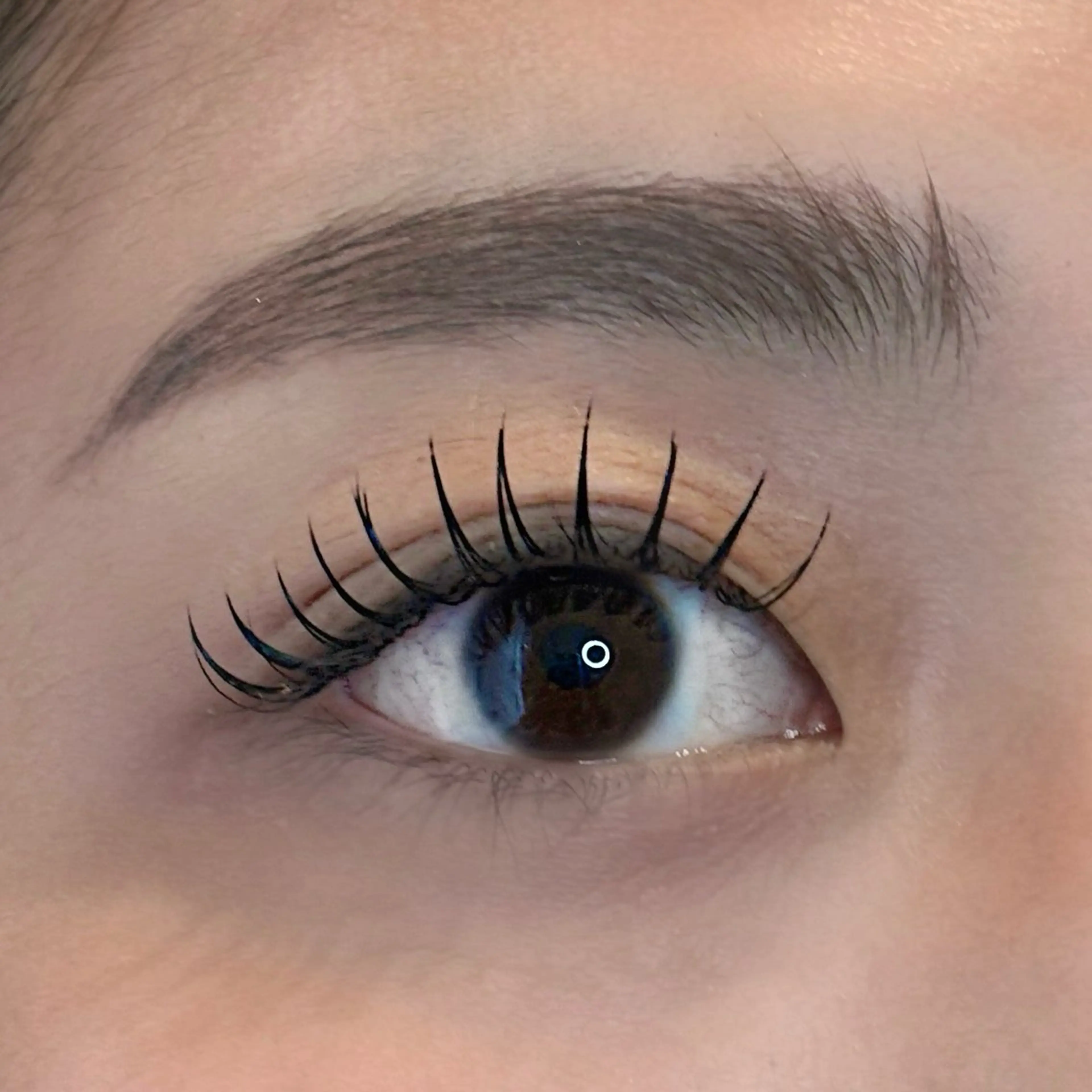 【お付け足し】🌼フラットラッシュ100本🌼※注意事項を必ずお読みください。の写真