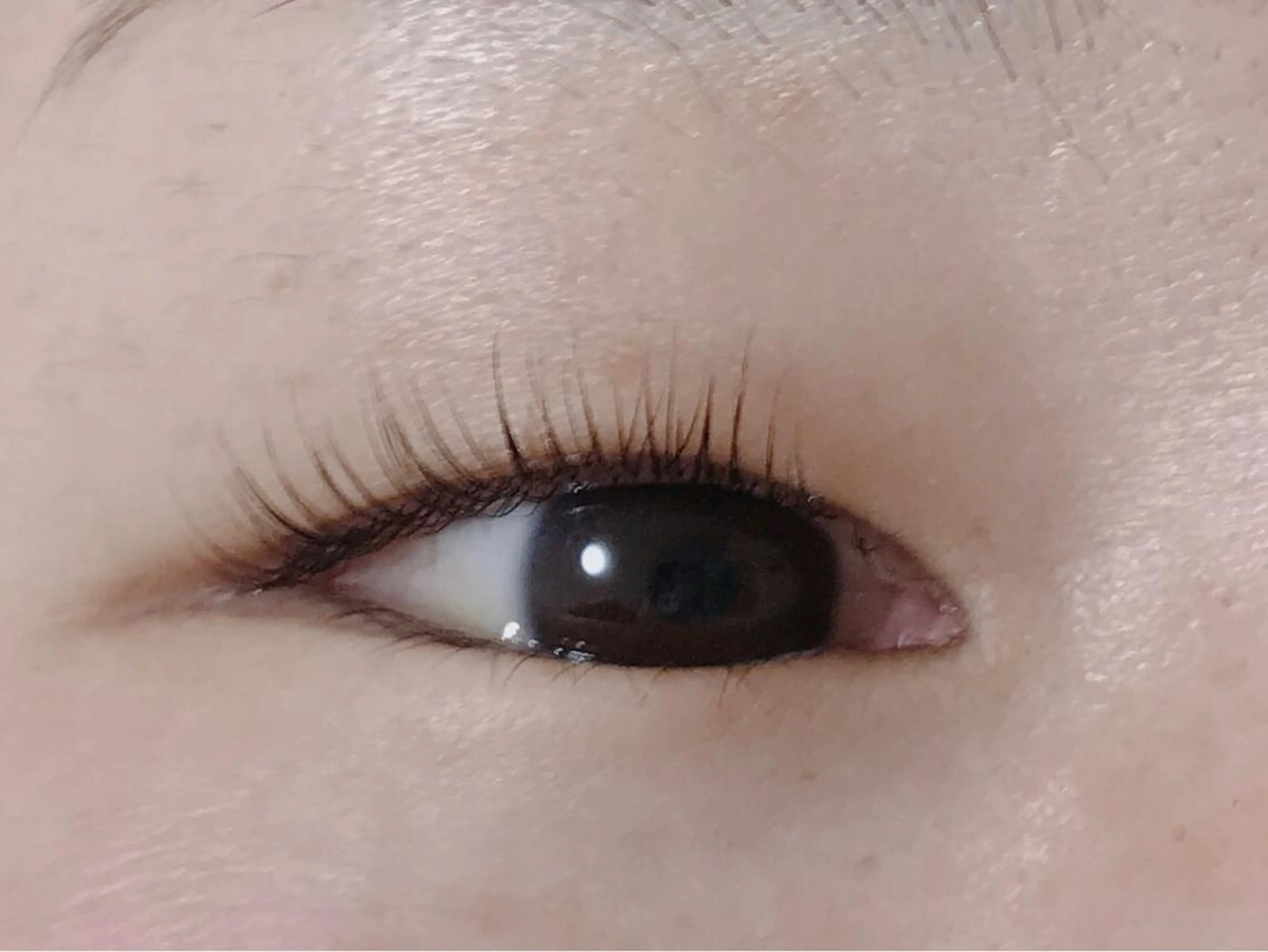 マツエク・マツパ マツパ An beauty2のマツエク・マツパデザイン