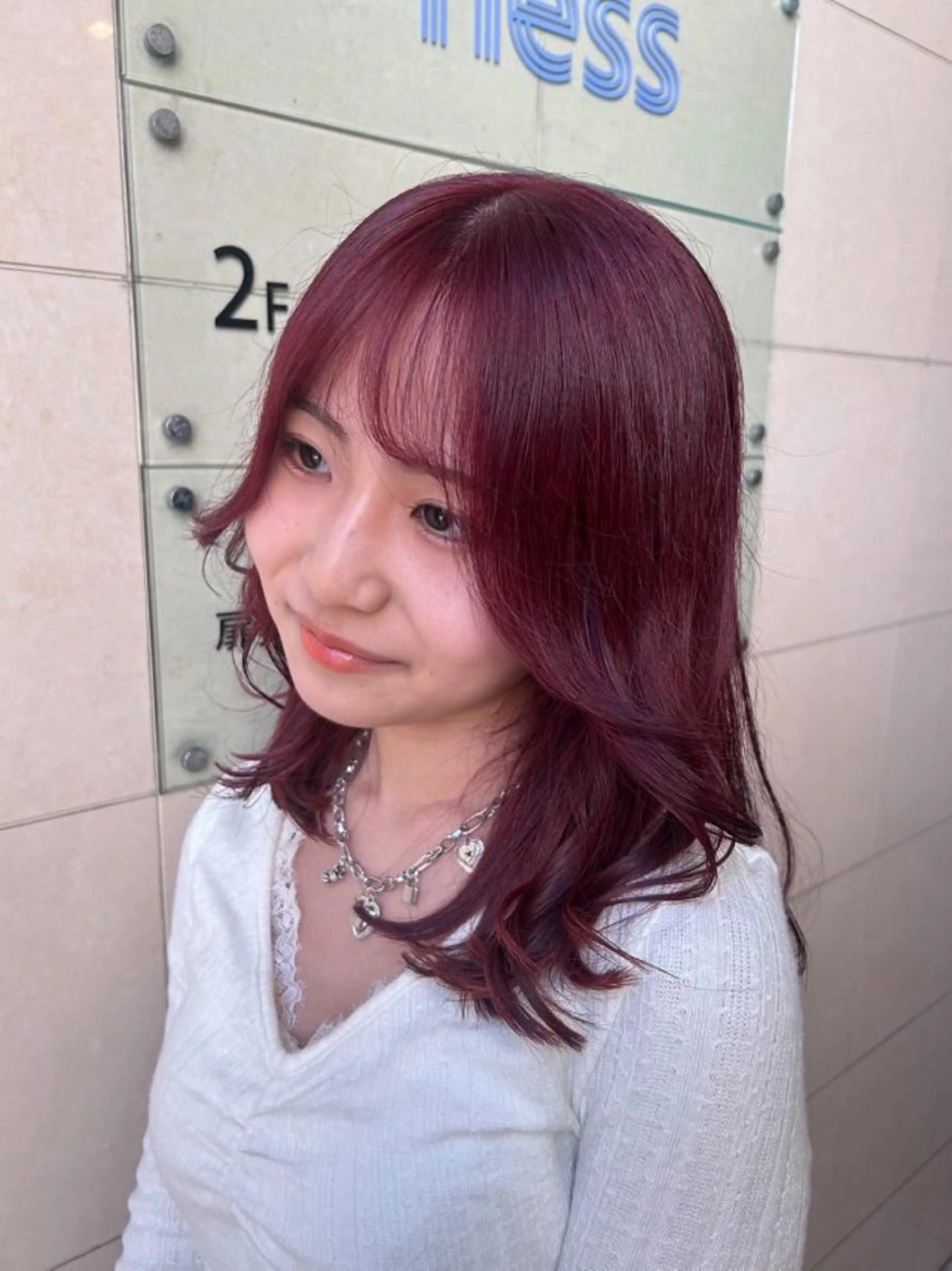 ミディアム カラー 🐩🎀ness / ルリ🔮🍓のヘアスタイル