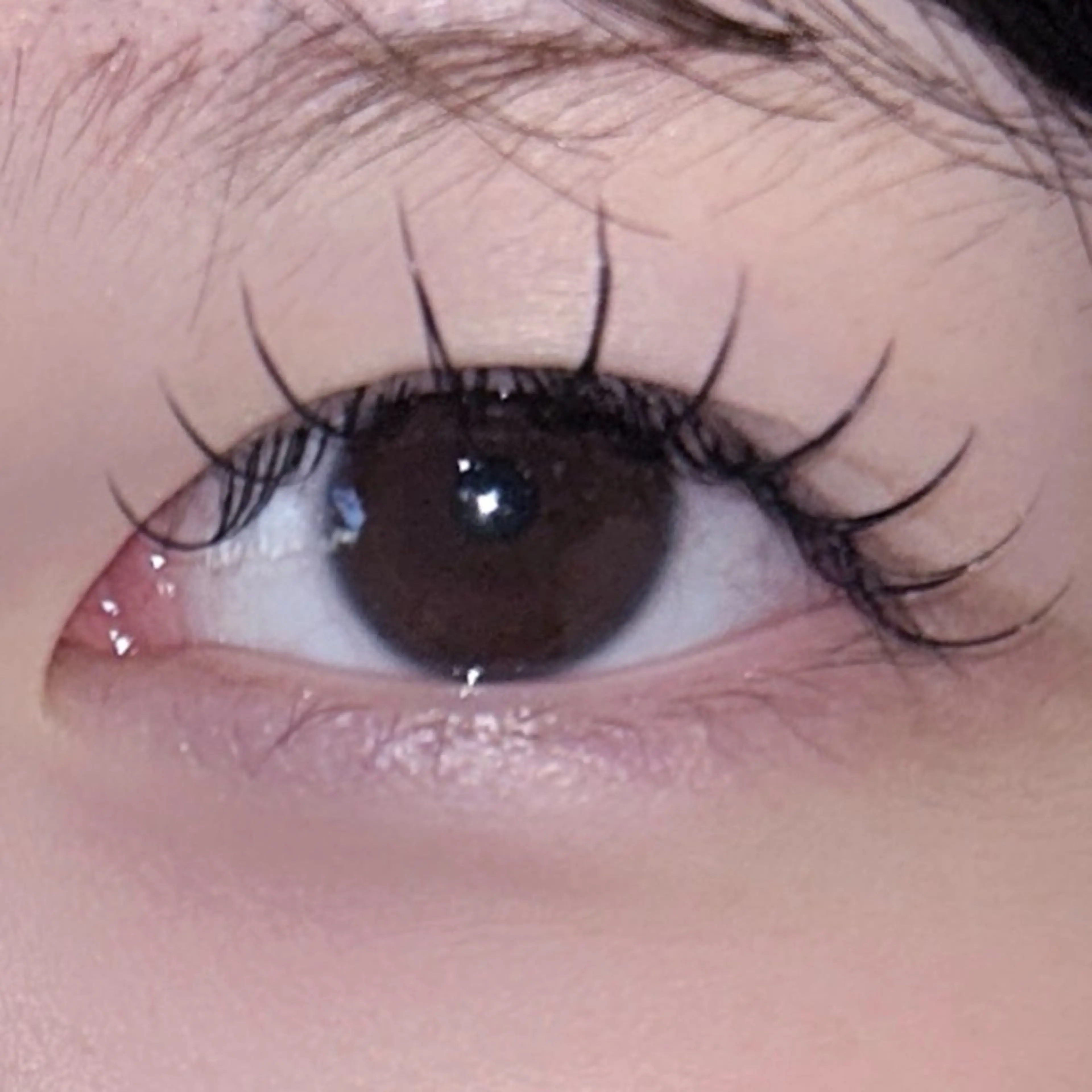🎀練習モデル🎀平日限定価格《まつげエクステ》flat lash 100~120本  束感仕上げ付き ✩の写真