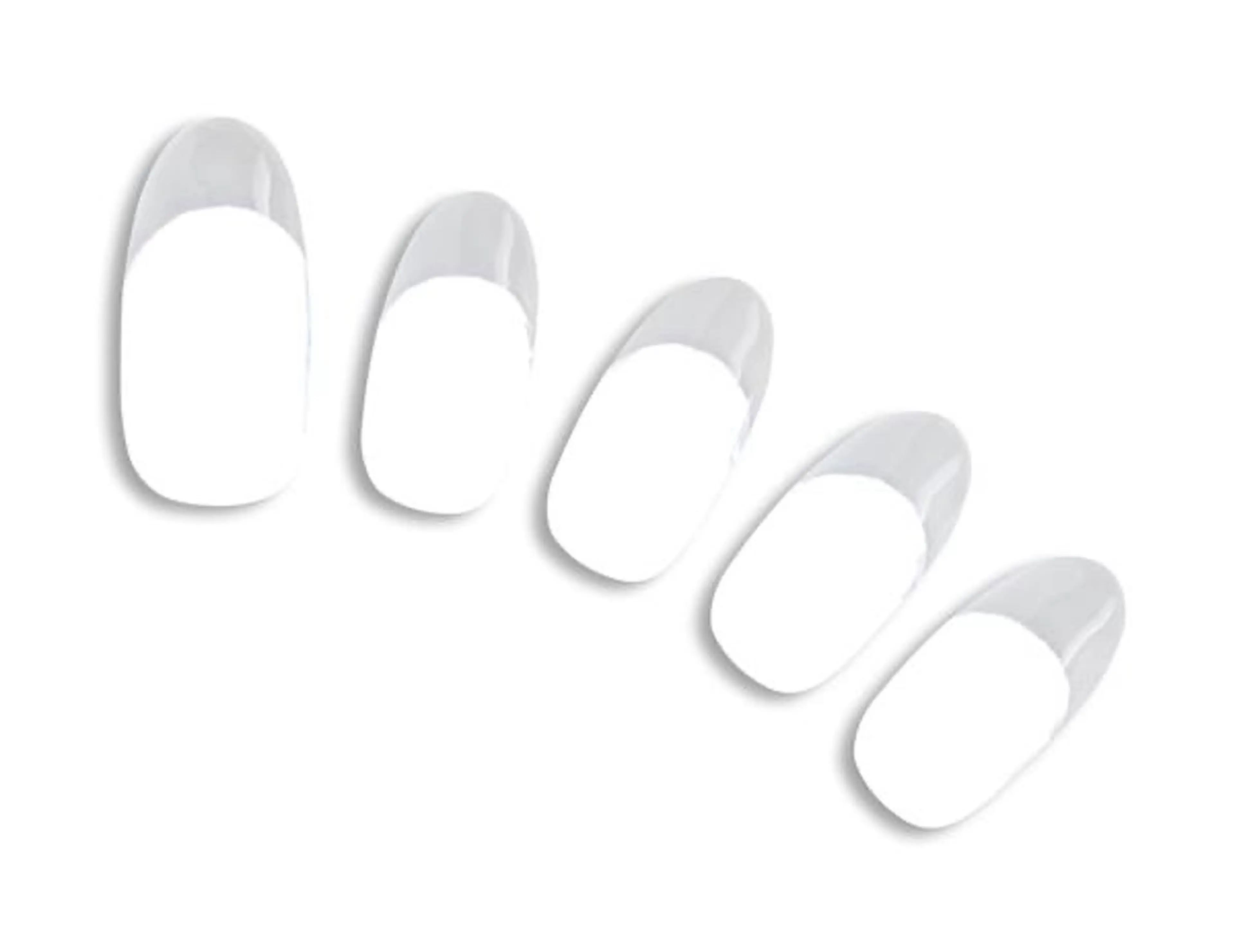 【本日16時までに来た方限定】フレンチ　オフ代別途¥1,100の写真