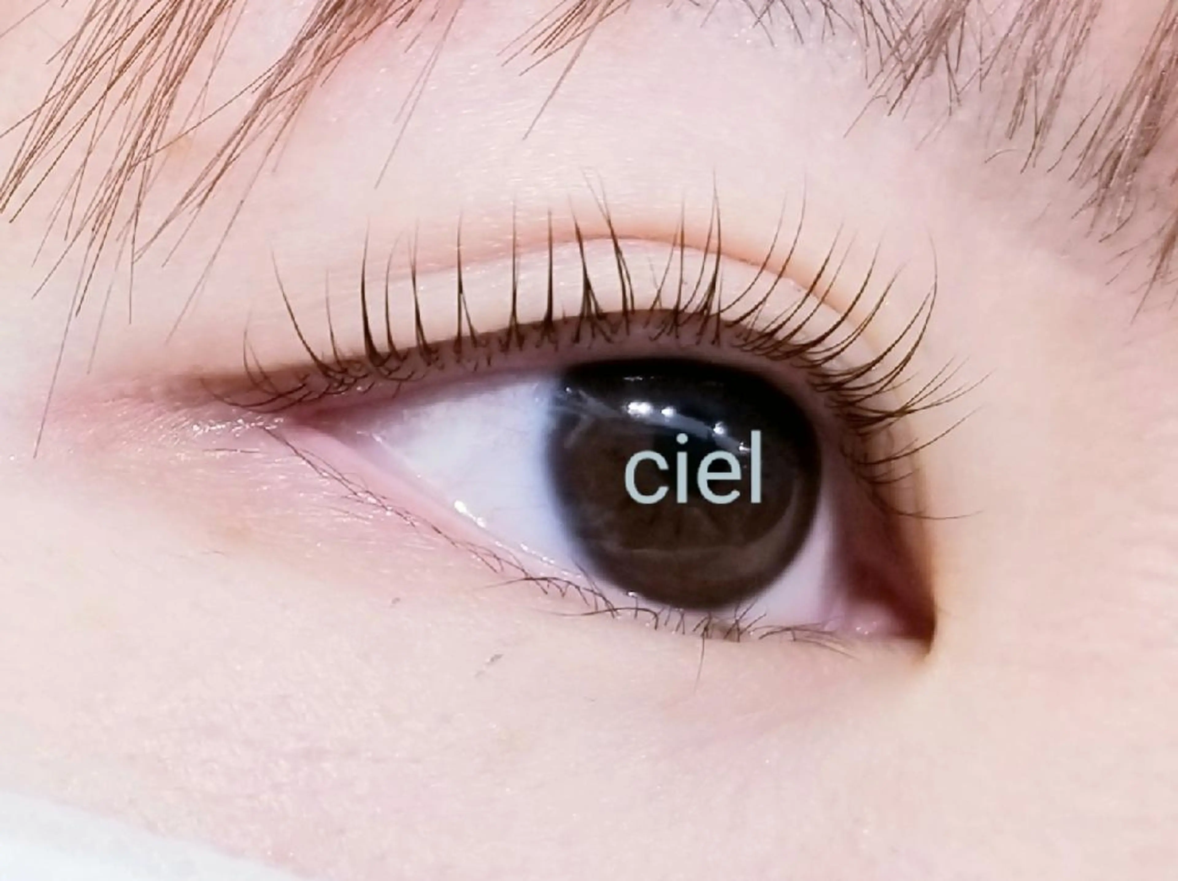マツエク・マツパ パリジェンヌラッシュリフト マツエク eyelash salonCielのマツエク・マツパデザイン
