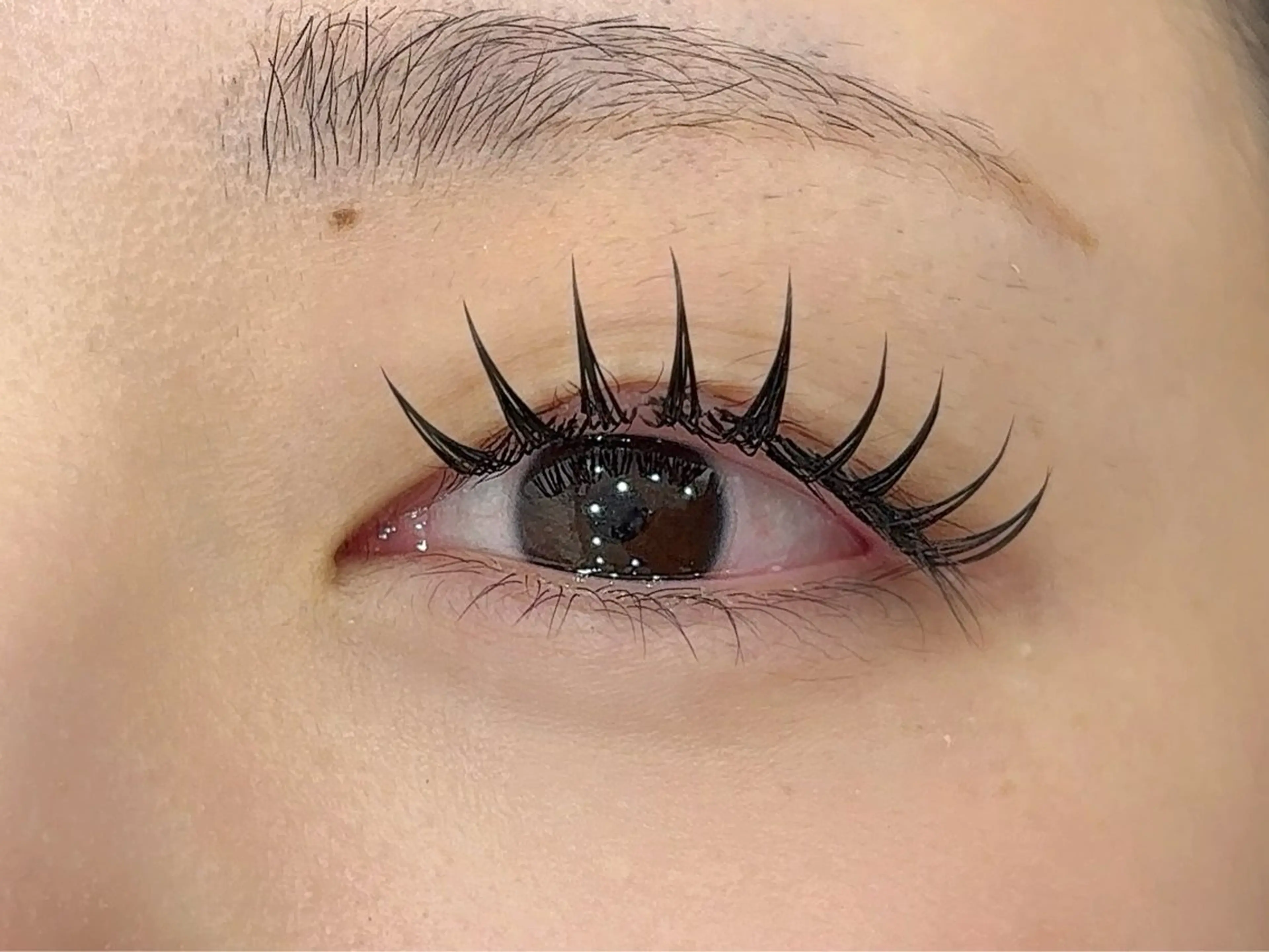 マツエク・マツパ Dカール マツエク edur所属・edur 梶並のマツエク・マツパデザイン