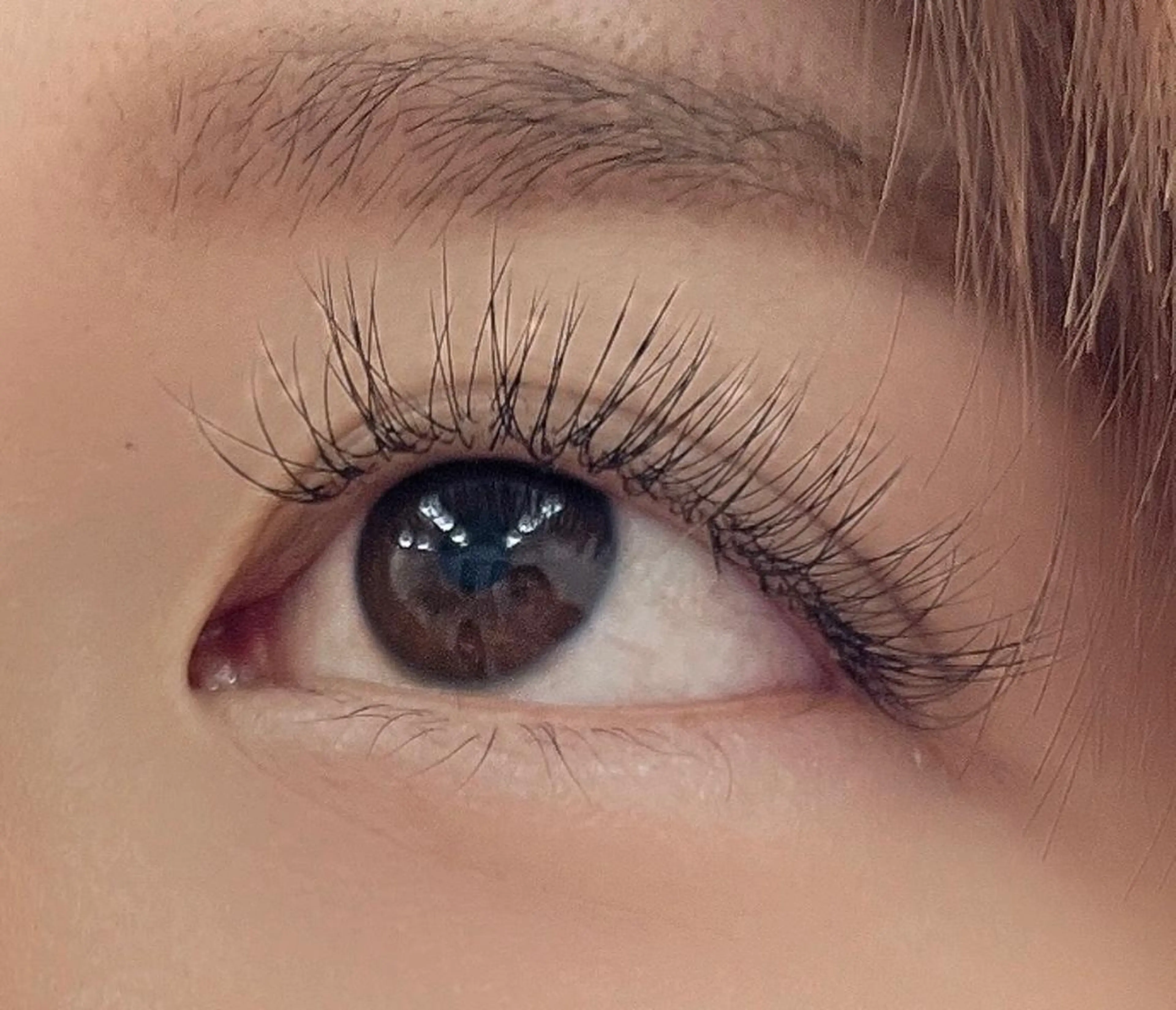 マツエク・マツパ 付け放題 フラットラッシュ マツエク Sifa eyelashのマツエク・マツパデザイン