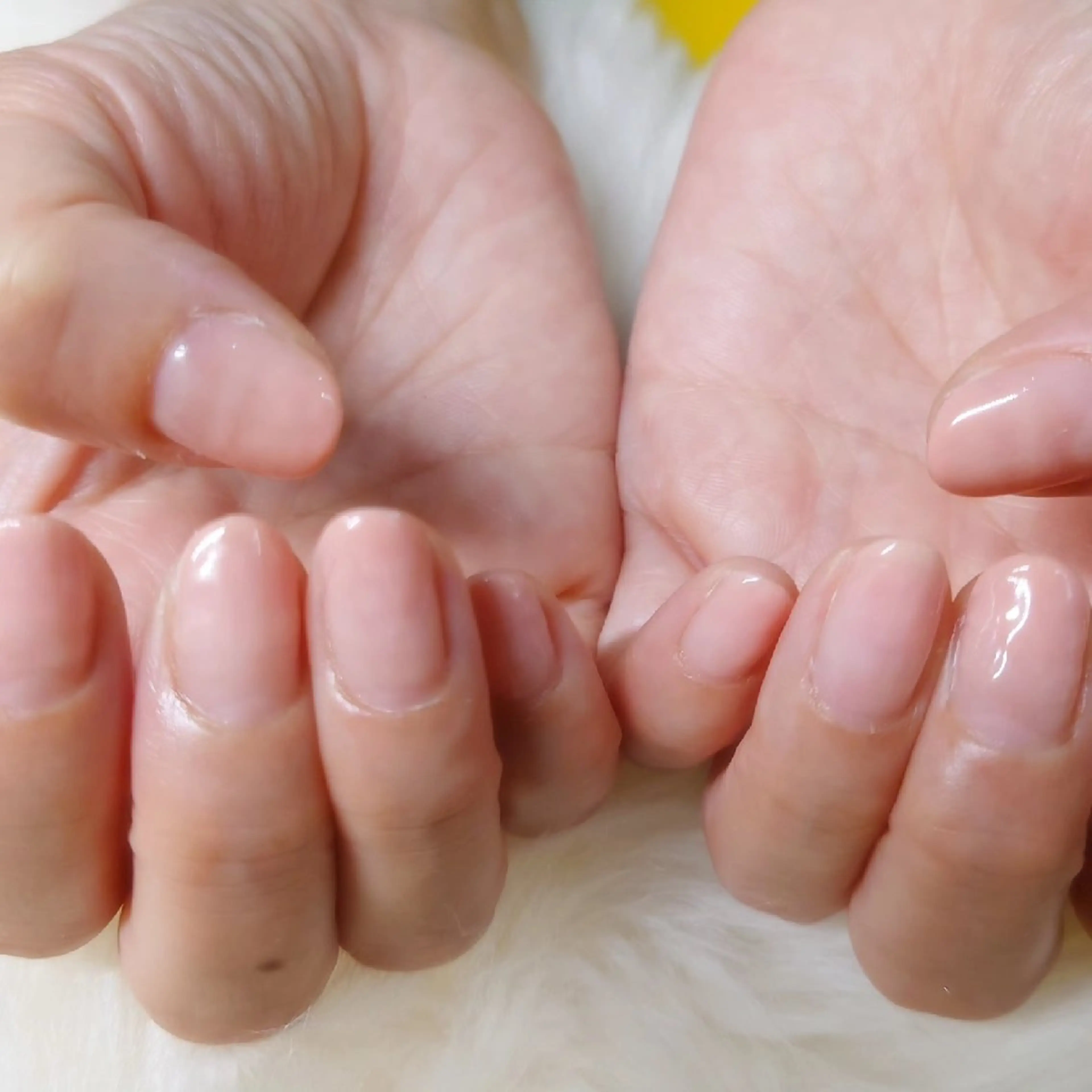 ネイル ワンカラーネイル NailPracticeRoomLou所属・lou jrのネイルデザイン