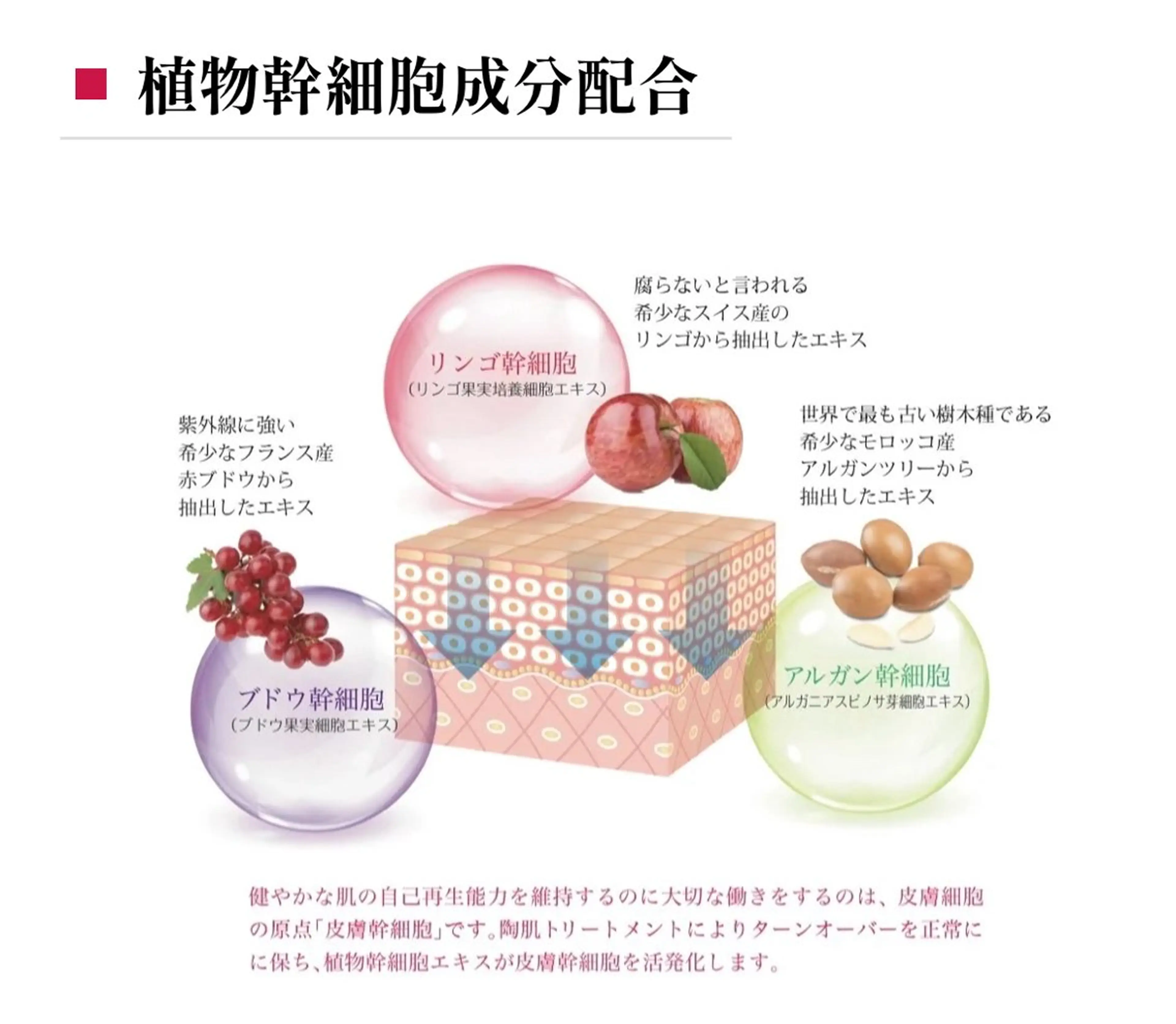 エステ 肌質改善/ピーリング phuan(プアン)のその他イメージ