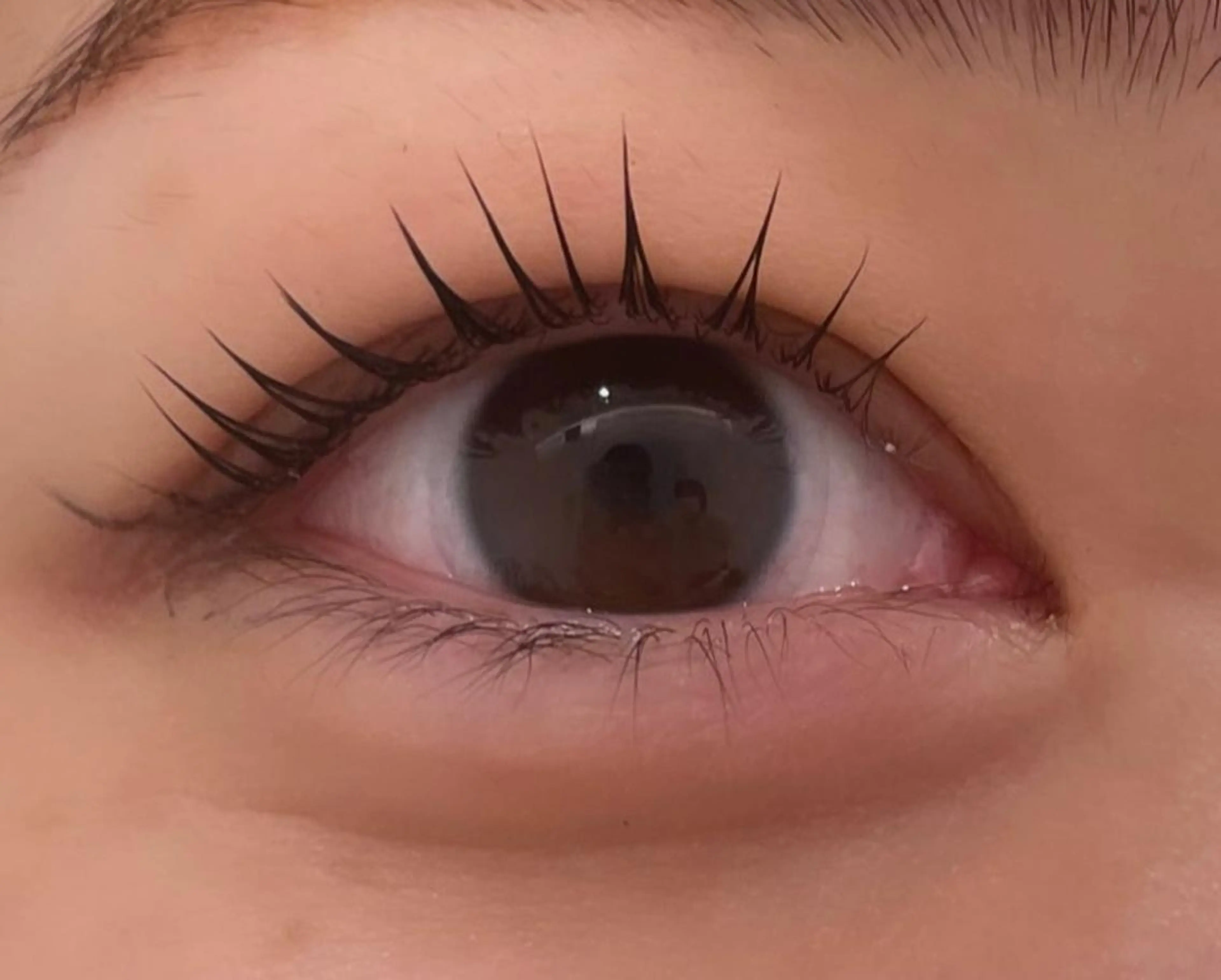 マツエク・マツパ Nae.所属・眉毛/まつ毛/代官山 アイサロン🌻NAEのマツエク・マツパデザイン