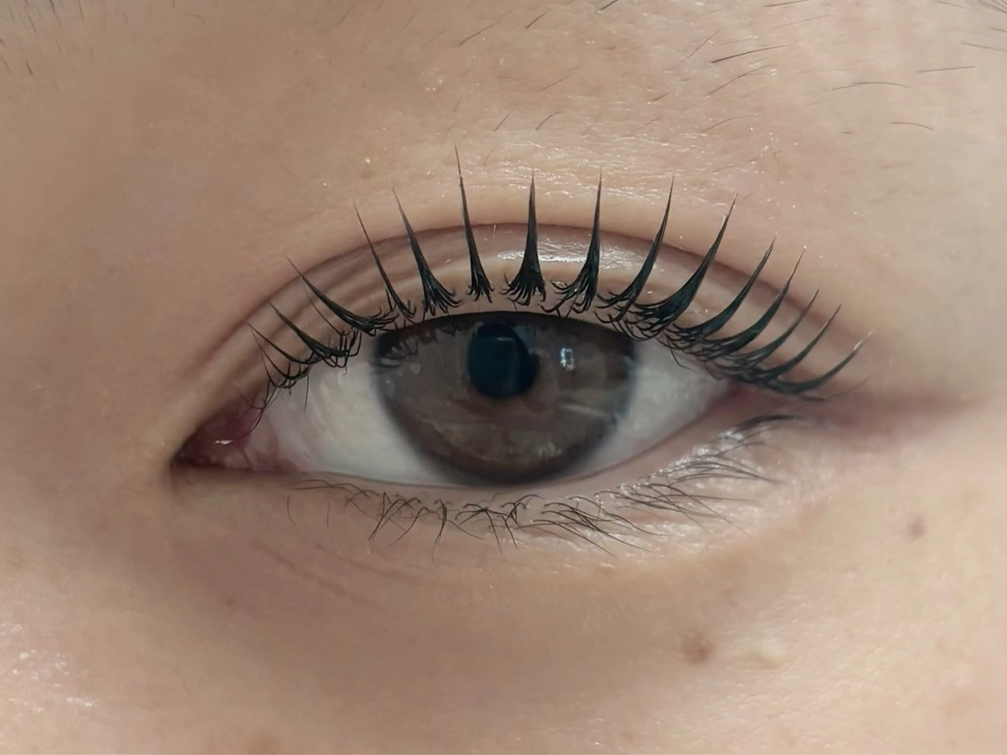 マツエク・マツパ 韓国風マツエク パリジェンヌラッシュリフト マツパ CiCi🫧 eyelashのマツエク・マツパデザイン