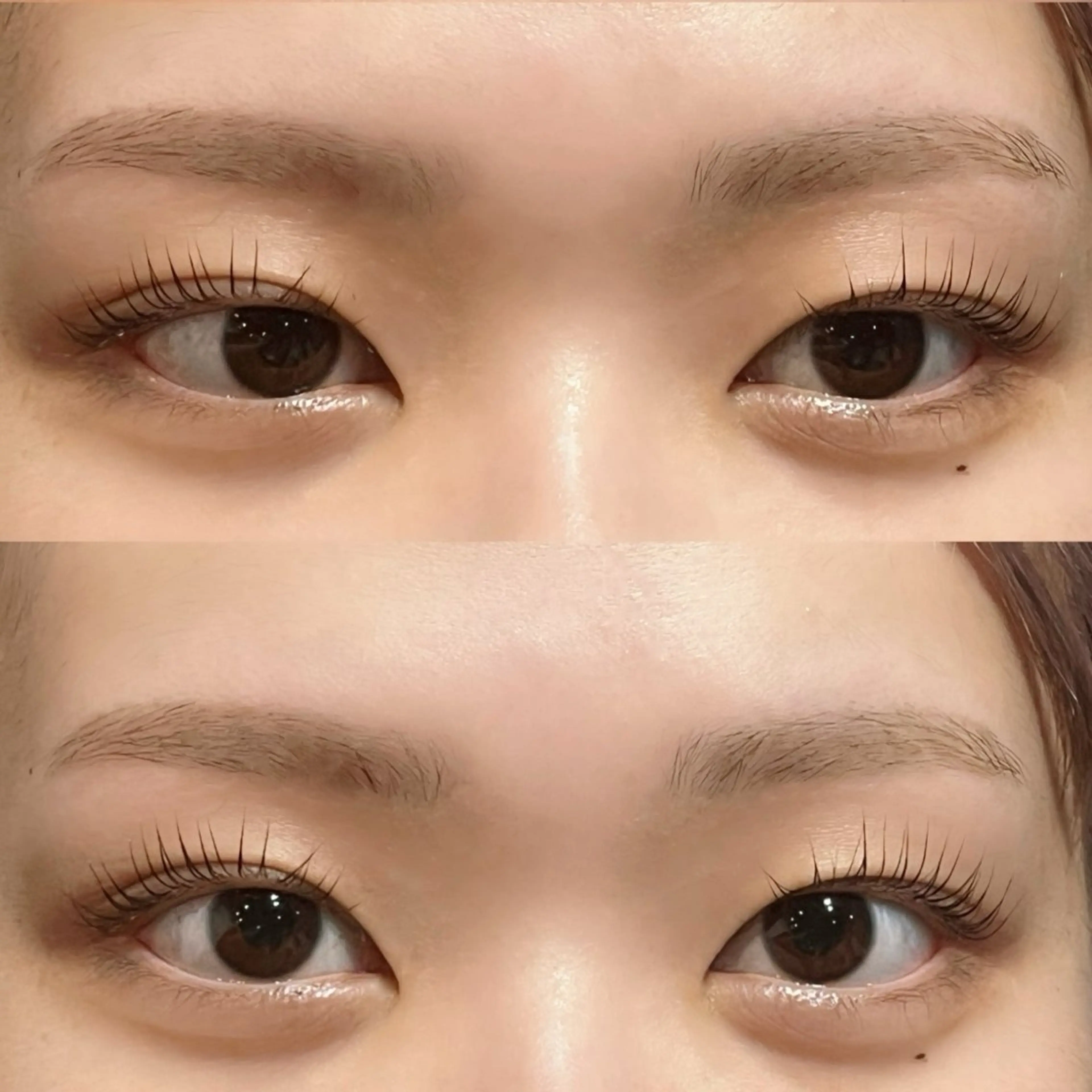 【✨ご新規様限定✨】美眉Wax ➕ラッシュリフト　1時間45分の写真