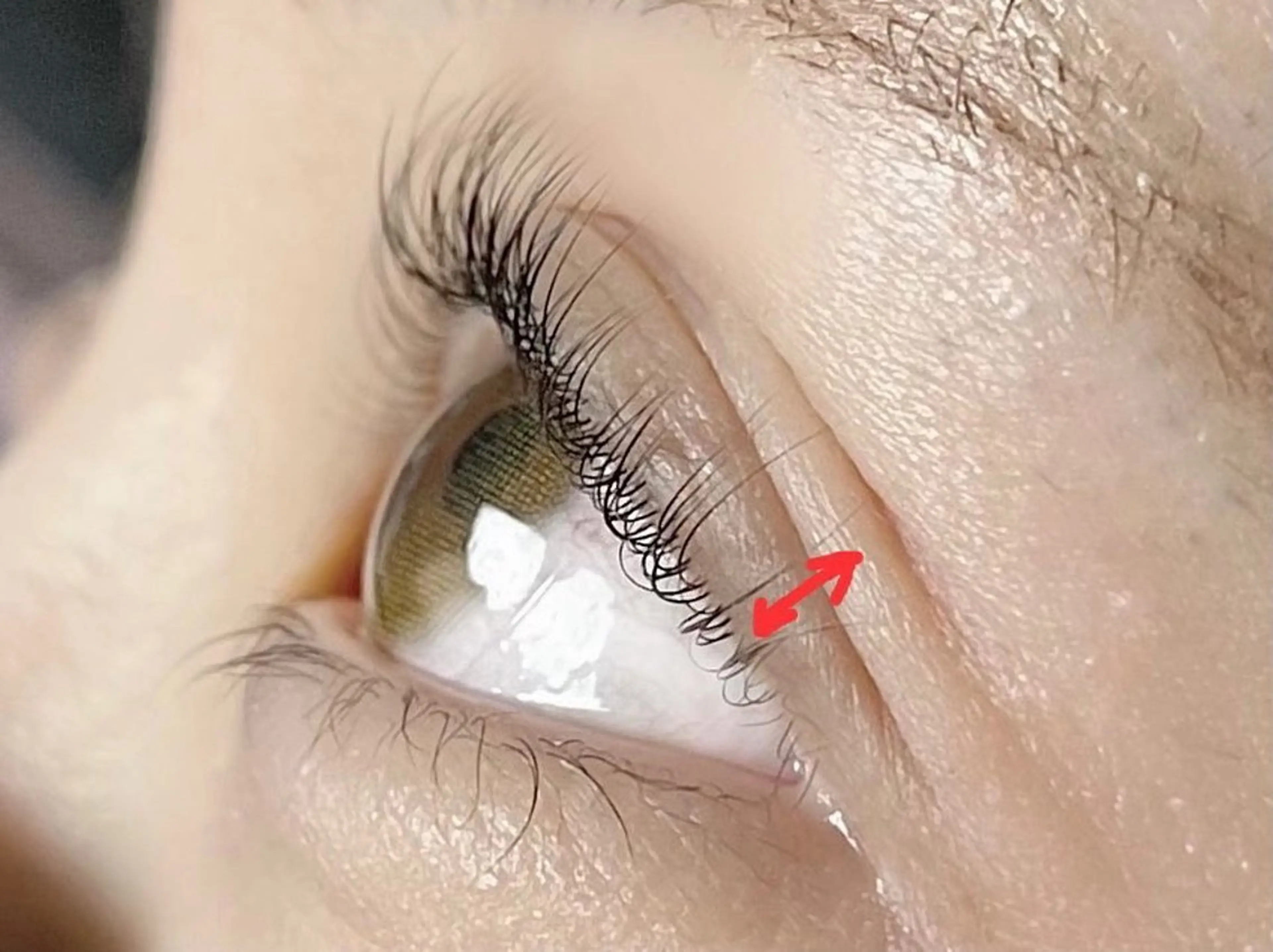 マツエク・マツパ アイラッシュBONO所属・アイラッシュ アトリエBONOの眉毛・アイブロウイメージ