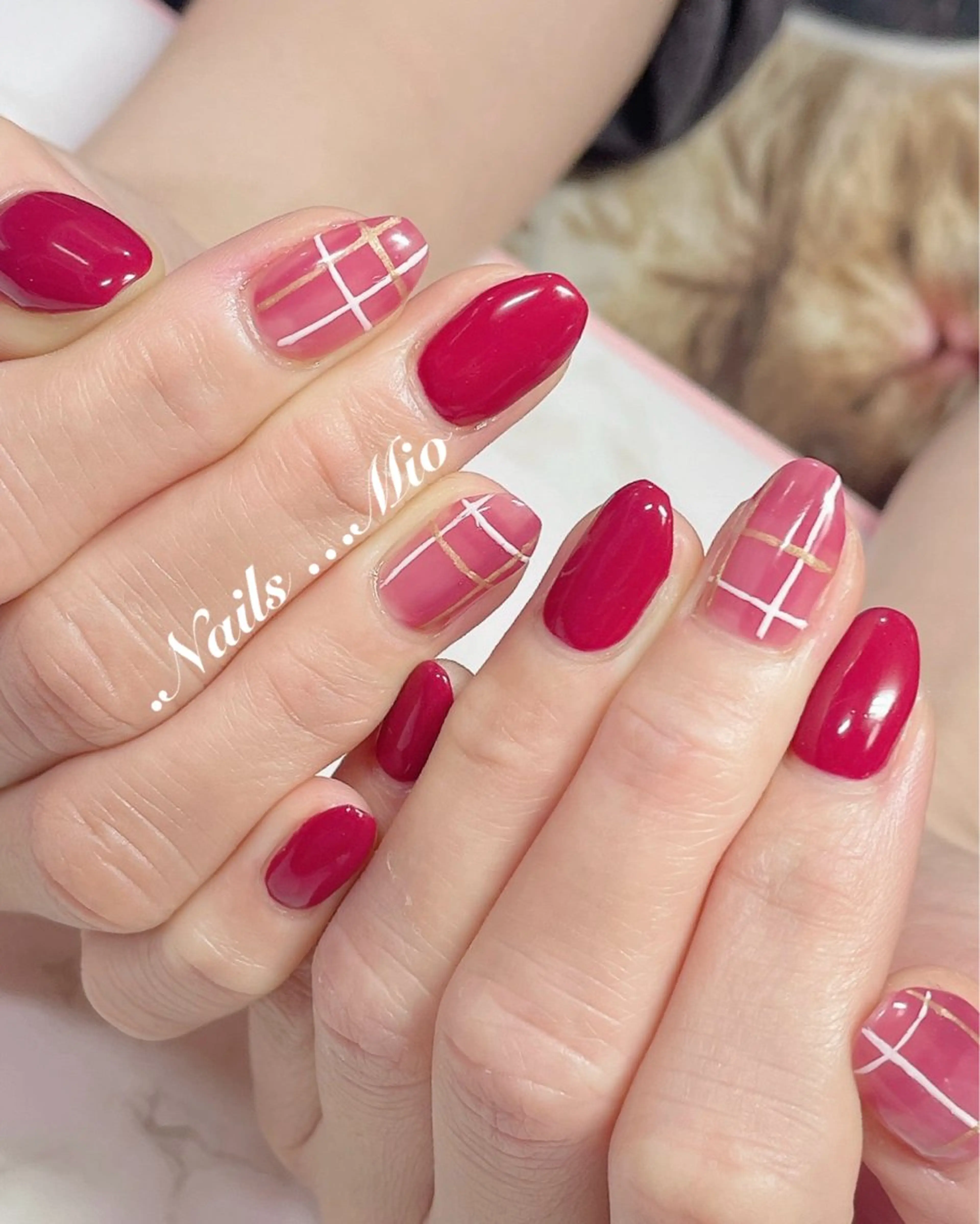 ネイル アートネイル ジェルネイル ワンカラーネイル .Nails Mio 赤羽西ネイルサロンのネイルデザイン