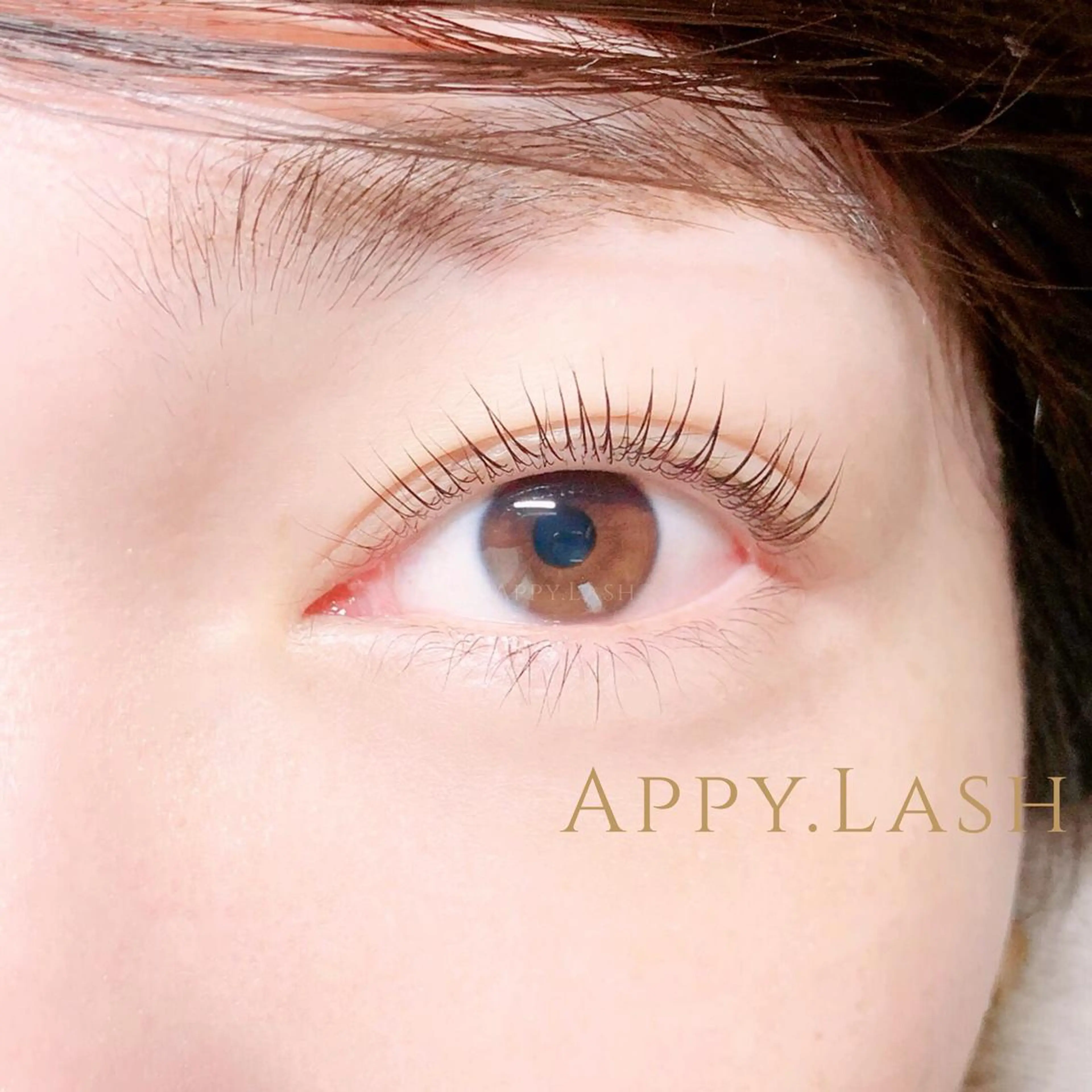 マツエク・マツパ フラットラッシュ ナチュラル パリジェンヌラッシュリフト まつげパーマ ボリュームラッシュ まつげと眉の専門店 Appy.Lashのマツエク・マツパデザイン