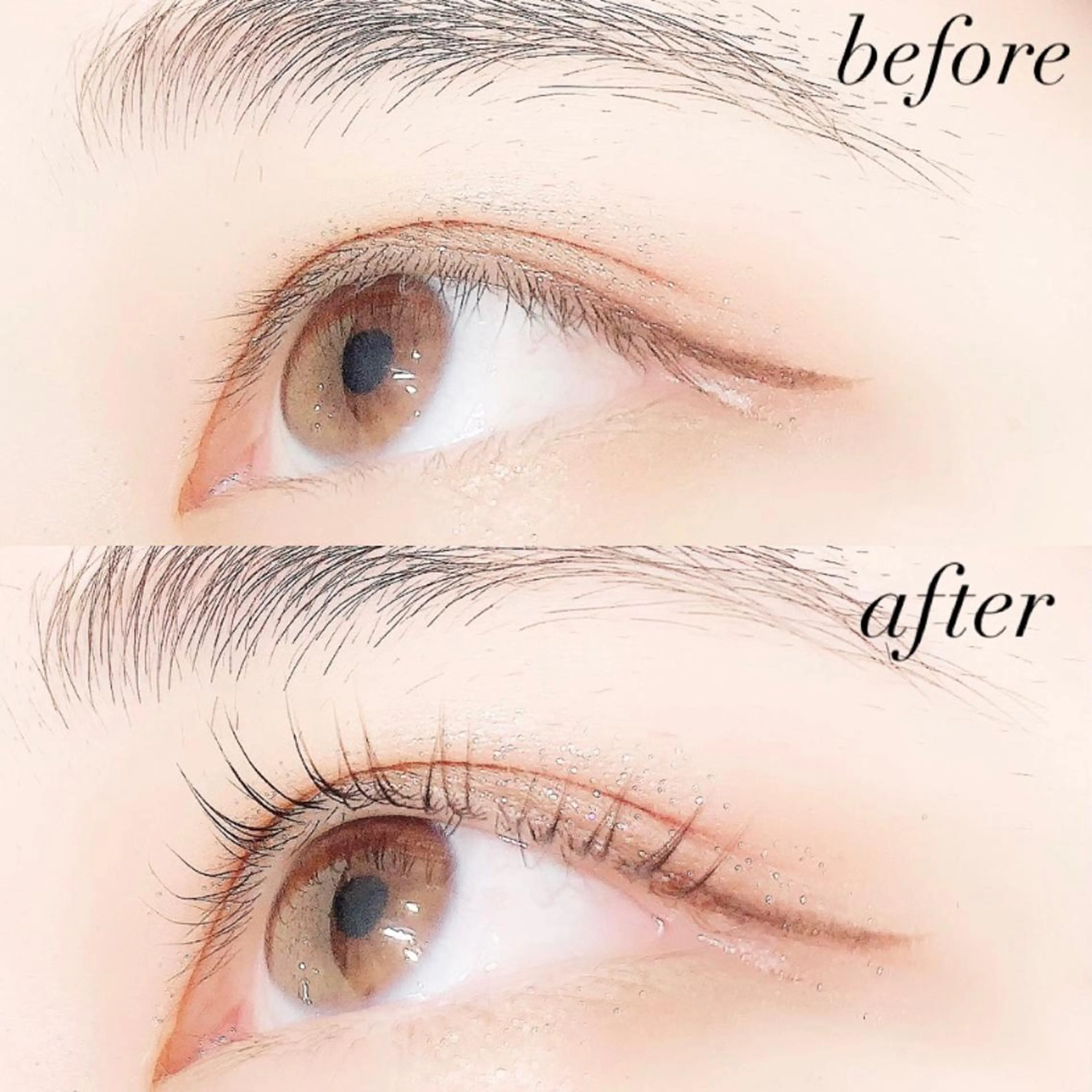 マツエク・マツパ 一重×まつ毛パーマ Lanhr所属・【Lanhr】 🕊aya🕊のマツエク・マツパデザイン