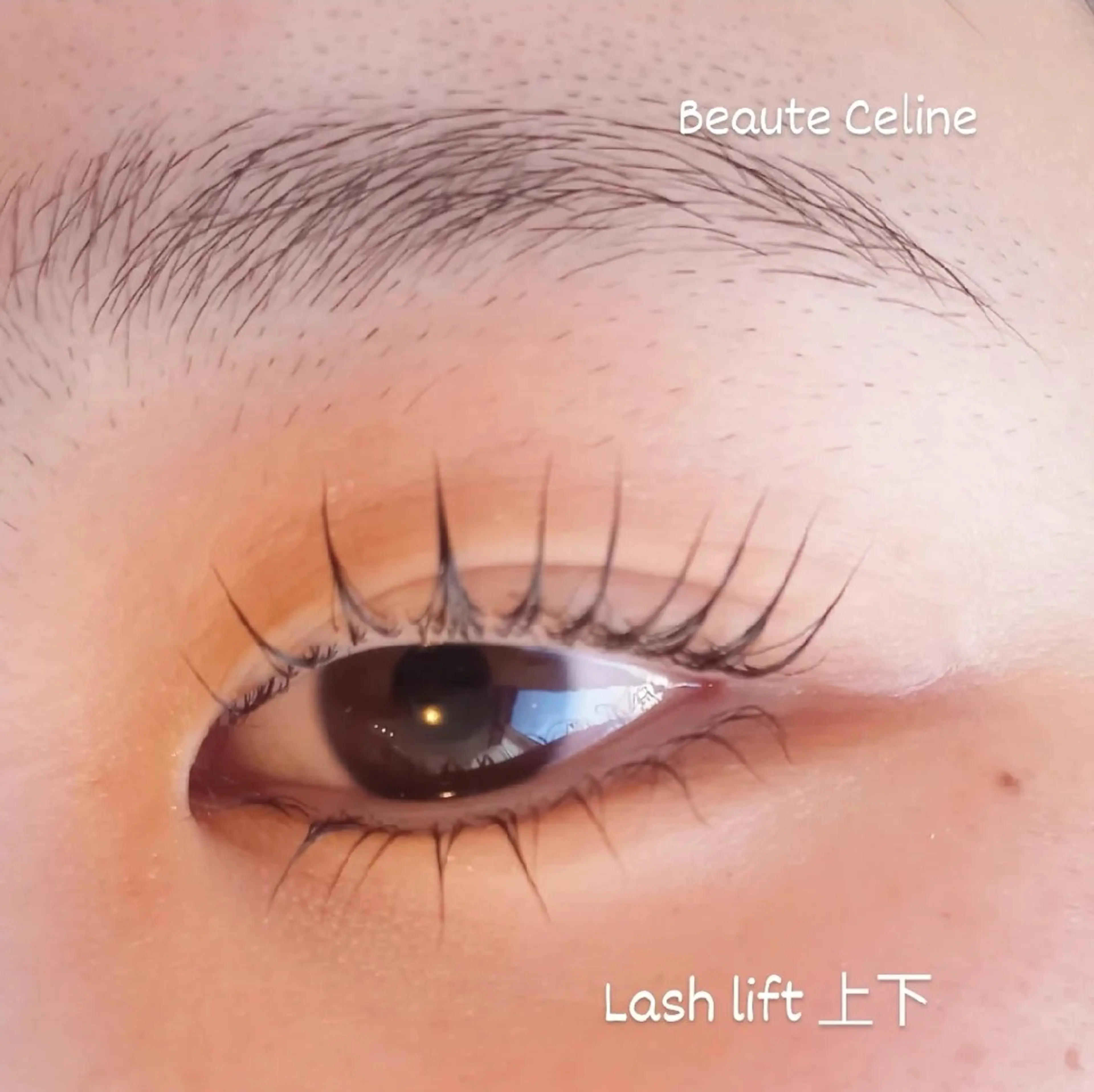 マツエク・マツパ マツパ beaute.celine所属・ぱっちりパーマ🌛 ﾎﾞｰﾃCelineのマツエク・マツパデザイン