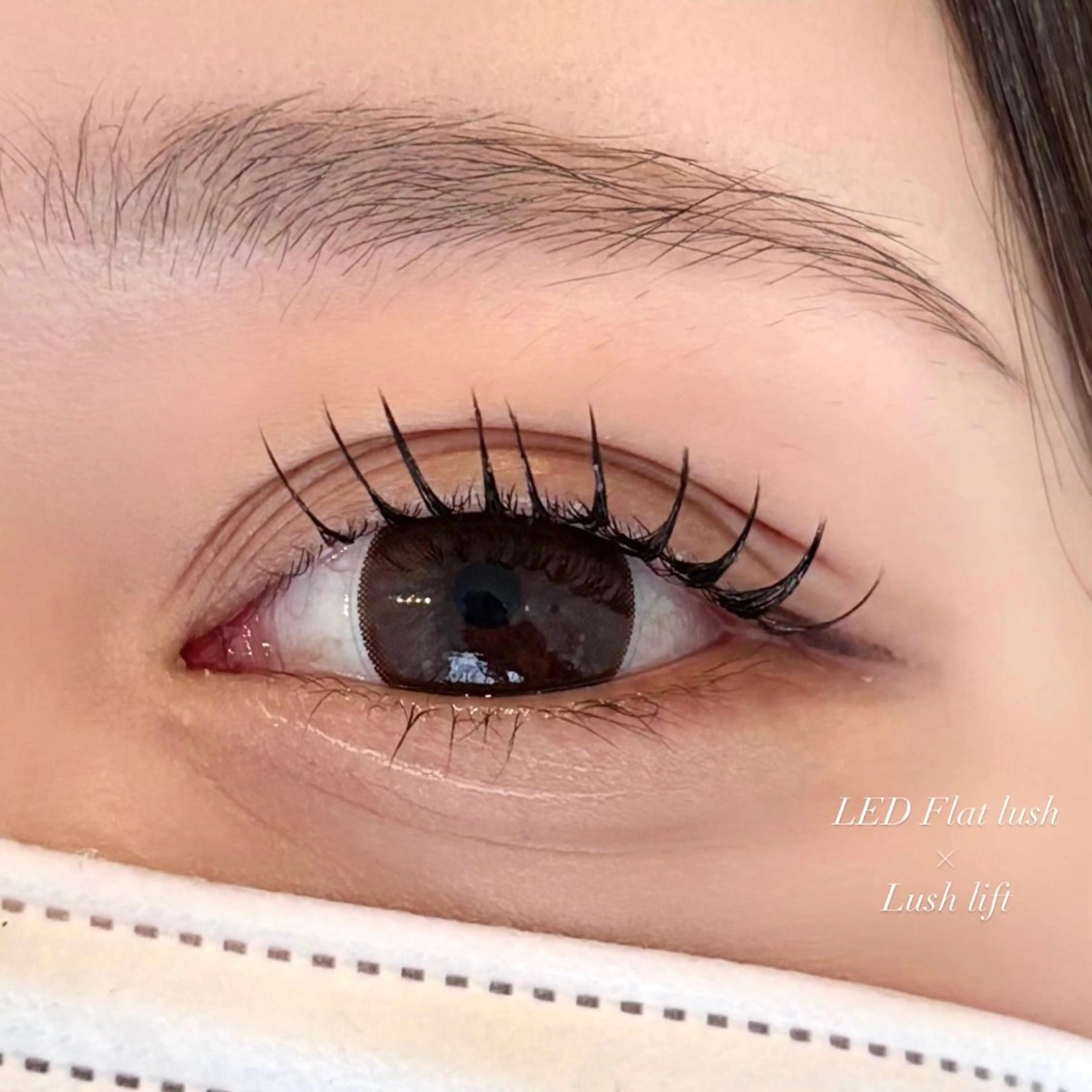 マツエク・マツパ 束感まつ毛 ナチュラル マツエク EYELA 小築🐈‍⬛🤍の眉毛・アイブロウイメージ