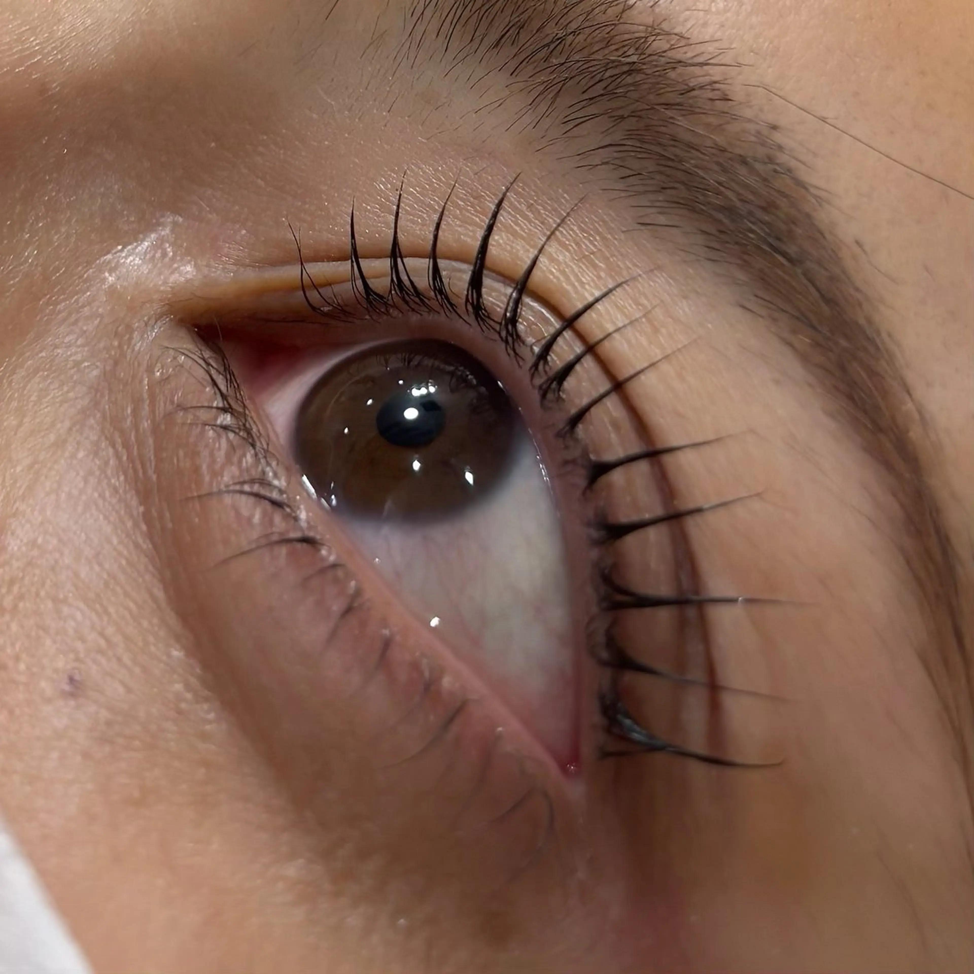 マツエク・マツパ マツパ BIANCA🤍🎀 OGAWAのマツエク・マツパデザイン