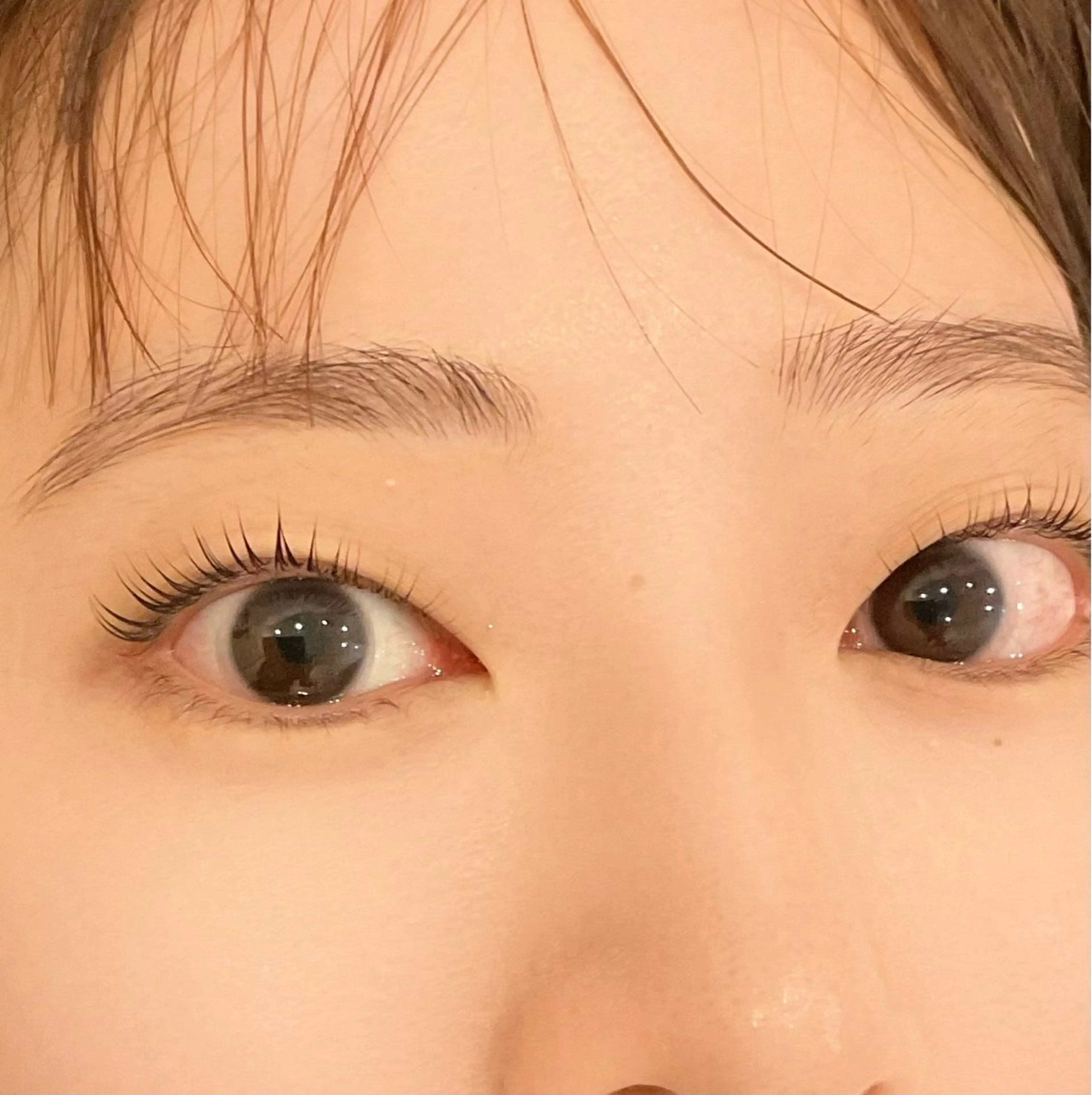 人気No1💖ケラチンラッシュリフト⭐︎アイシャンプー付きの写真