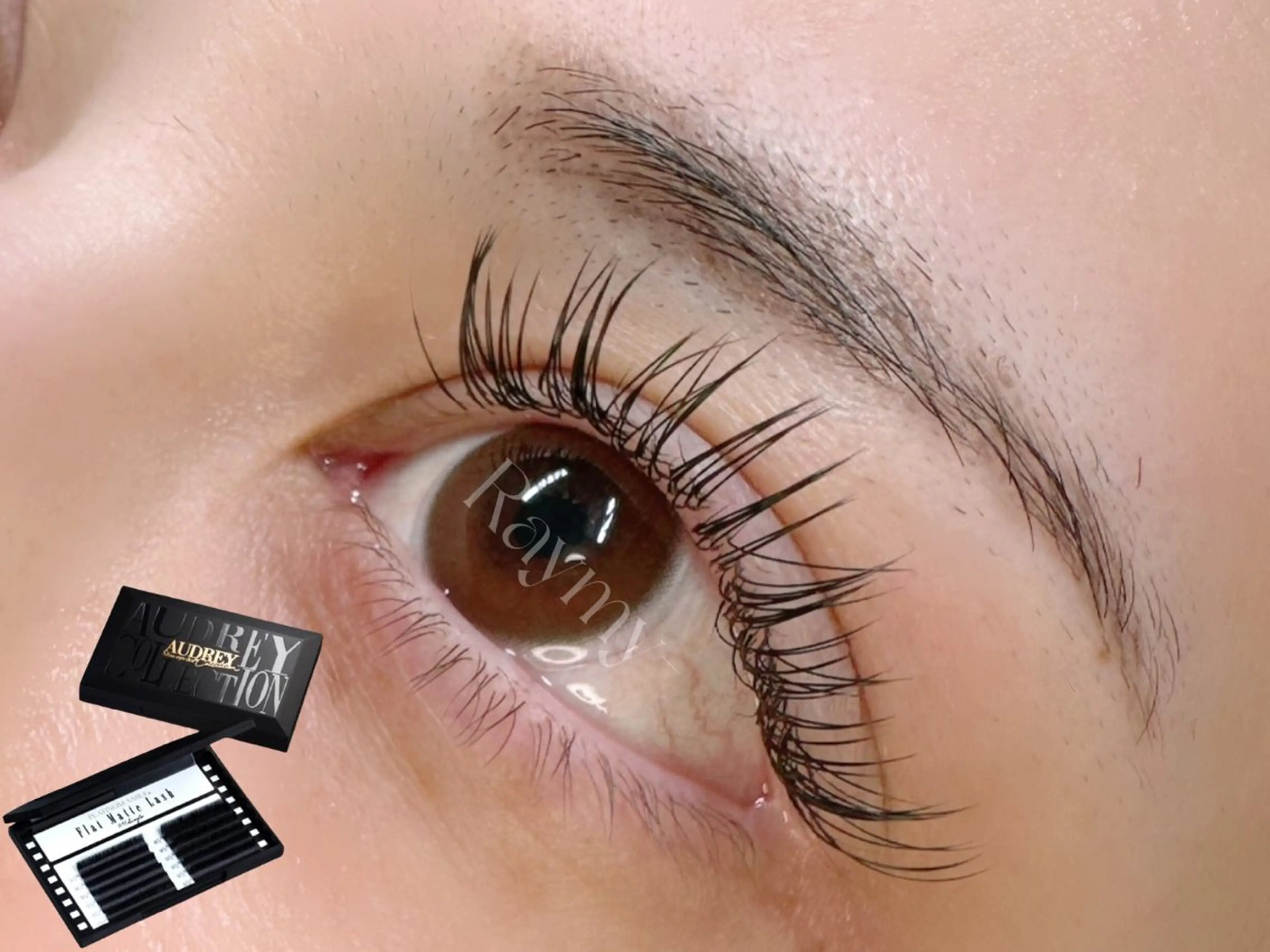 マツエク・マツパ Dカール フラットラッシュ iny share salon原宿店【Raymy-eyelash.eyebrow】所属・Eyelist.s Ayaのマツエク・マツパデザイン