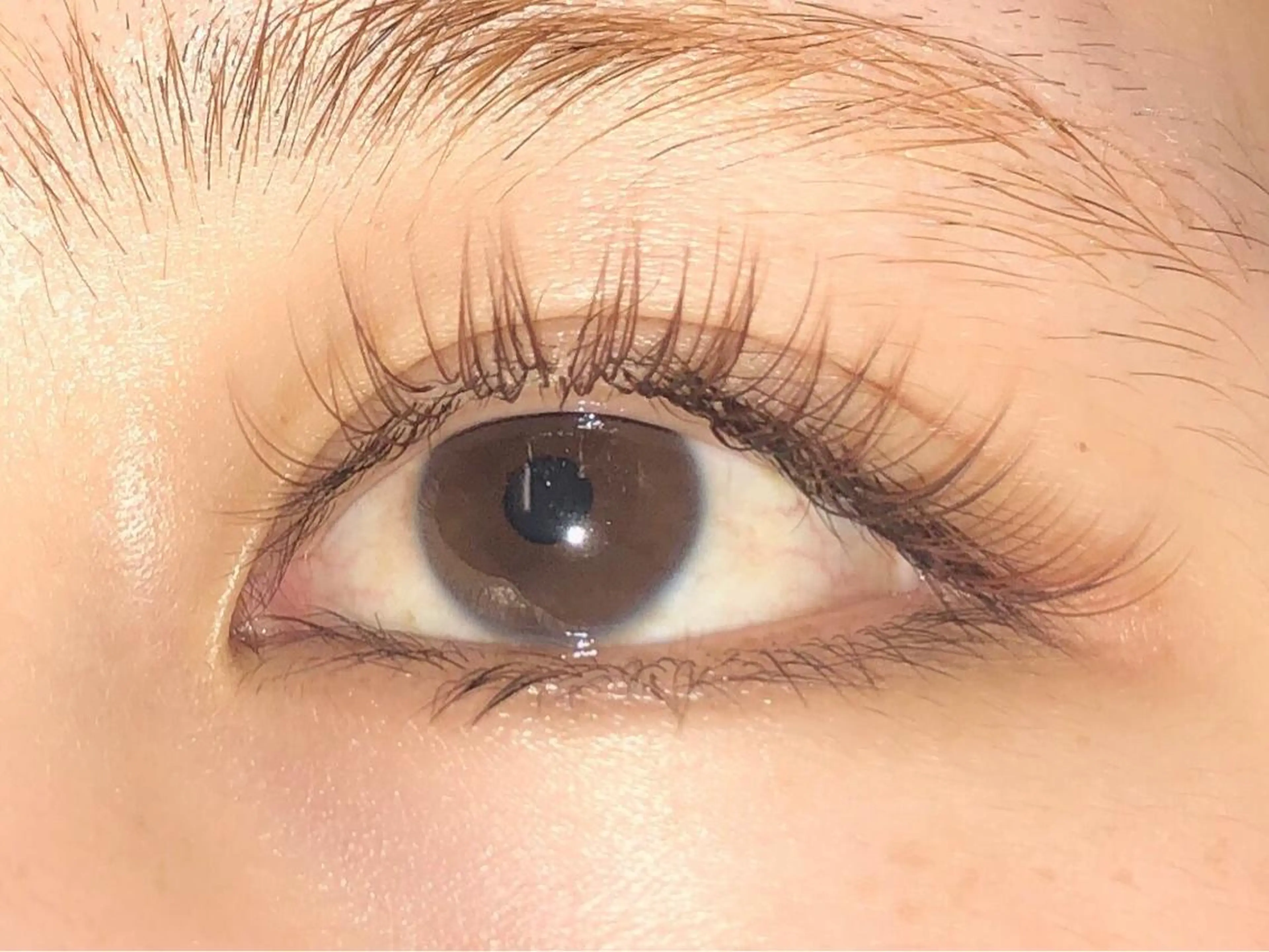マツエク・マツパ カラーマツエク 目尻長め セクシー 眉毛専門店brow art上野店　阿部の眉毛・アイブロウイメージ