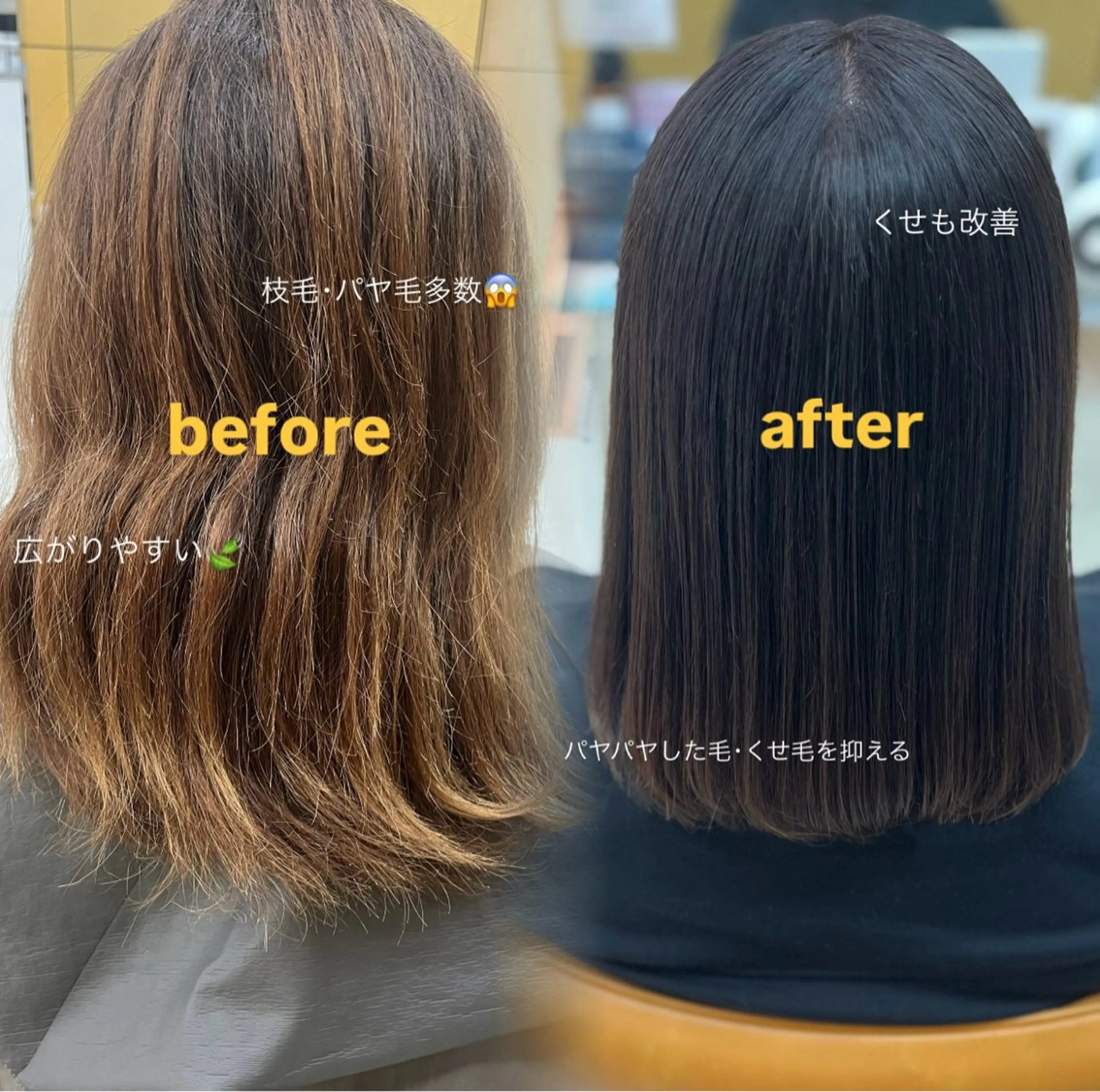 ミディアム カット ヘアカラー 💞絶対カワイイ保証 💞⌇﻿amlのヘアスタイル