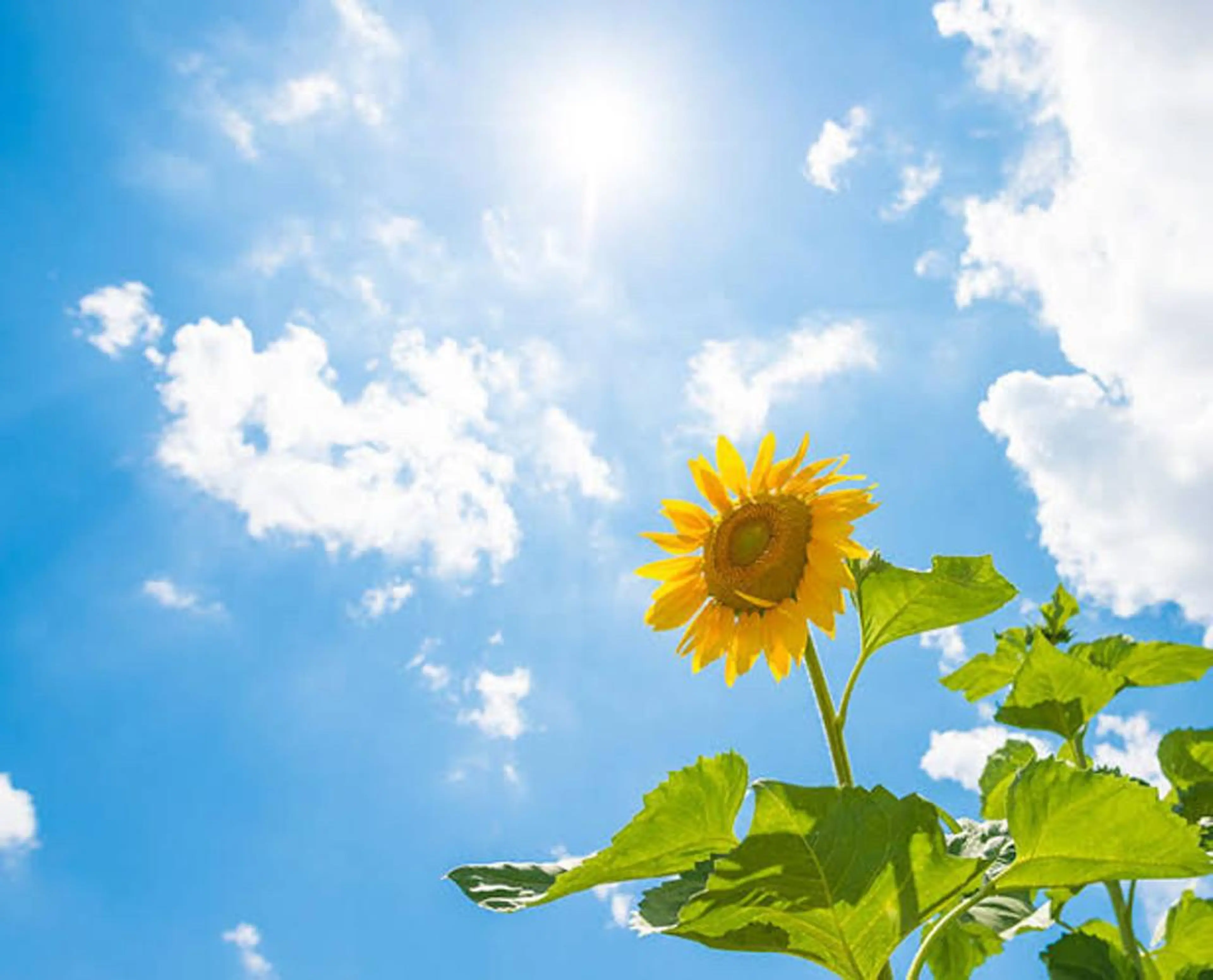 美肌脱毛サロン 琥珀所属・トータルビューティー 琥珀のエステ・リラクイメージ