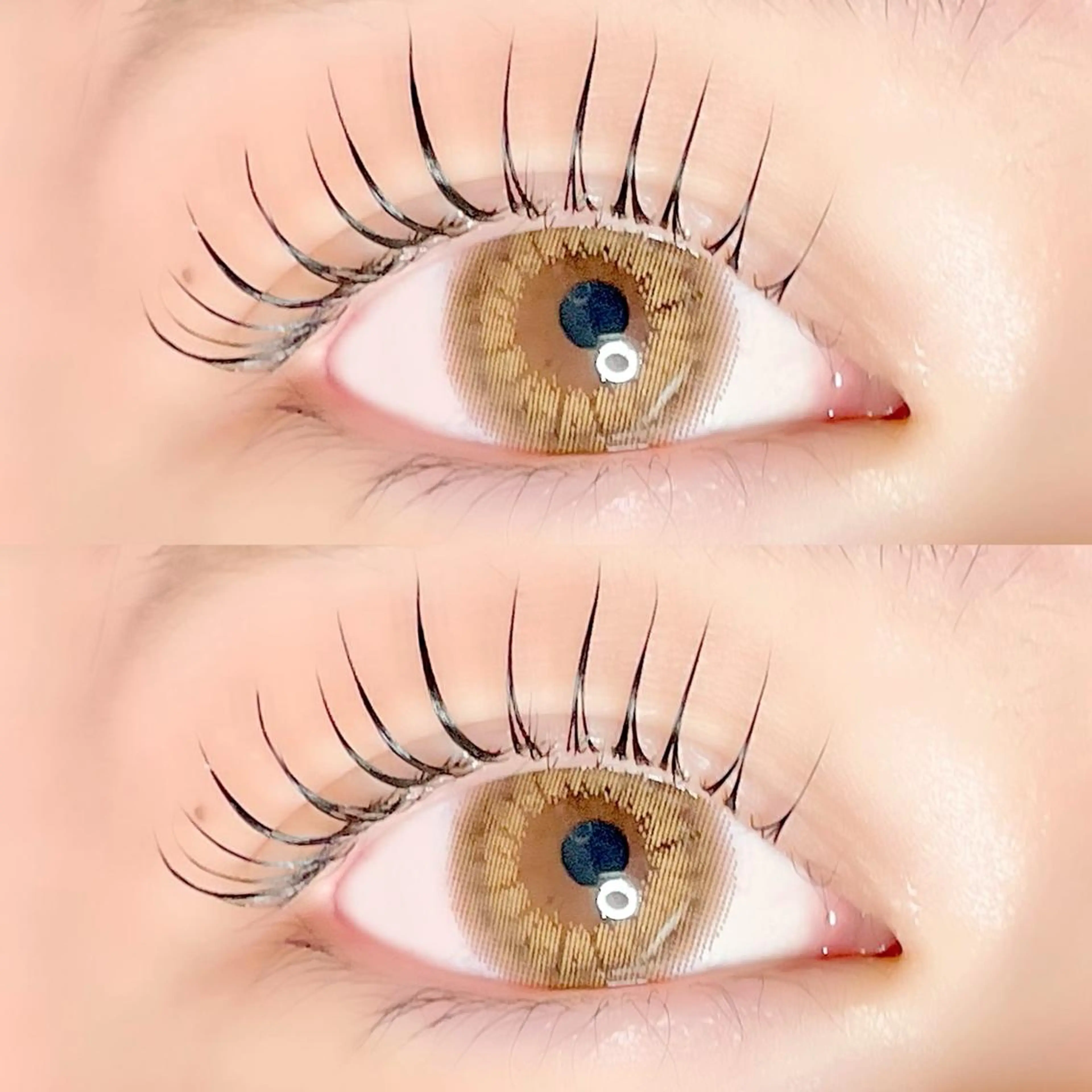 マツエク・マツパ マツパ AYLASH🧡 猪又のマツエク・マツパデザイン