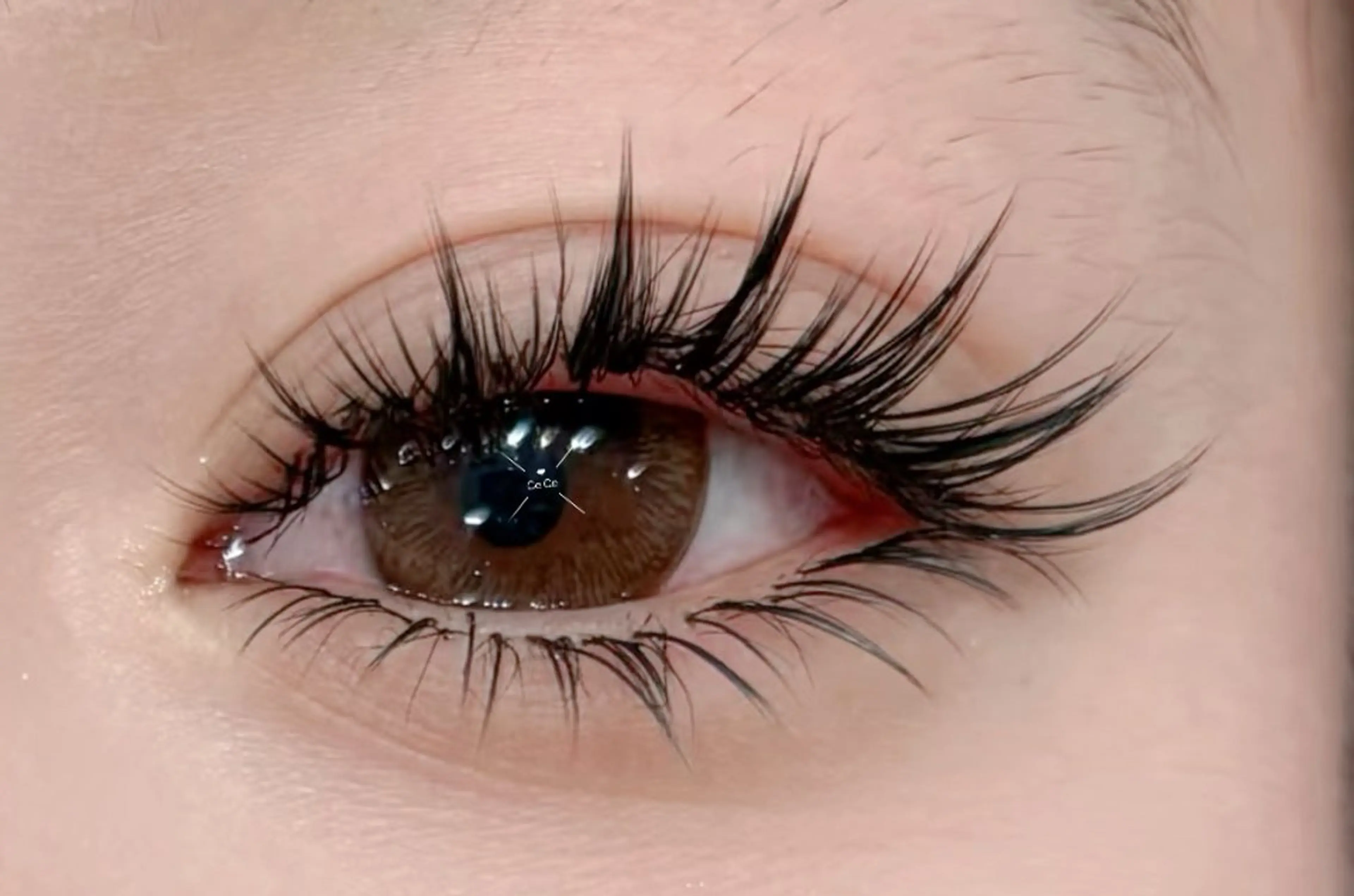 マツエク・マツパ マツエク 人気店🌸Ce Ce マツエク&ネイルのマツエク・マツパデザイン