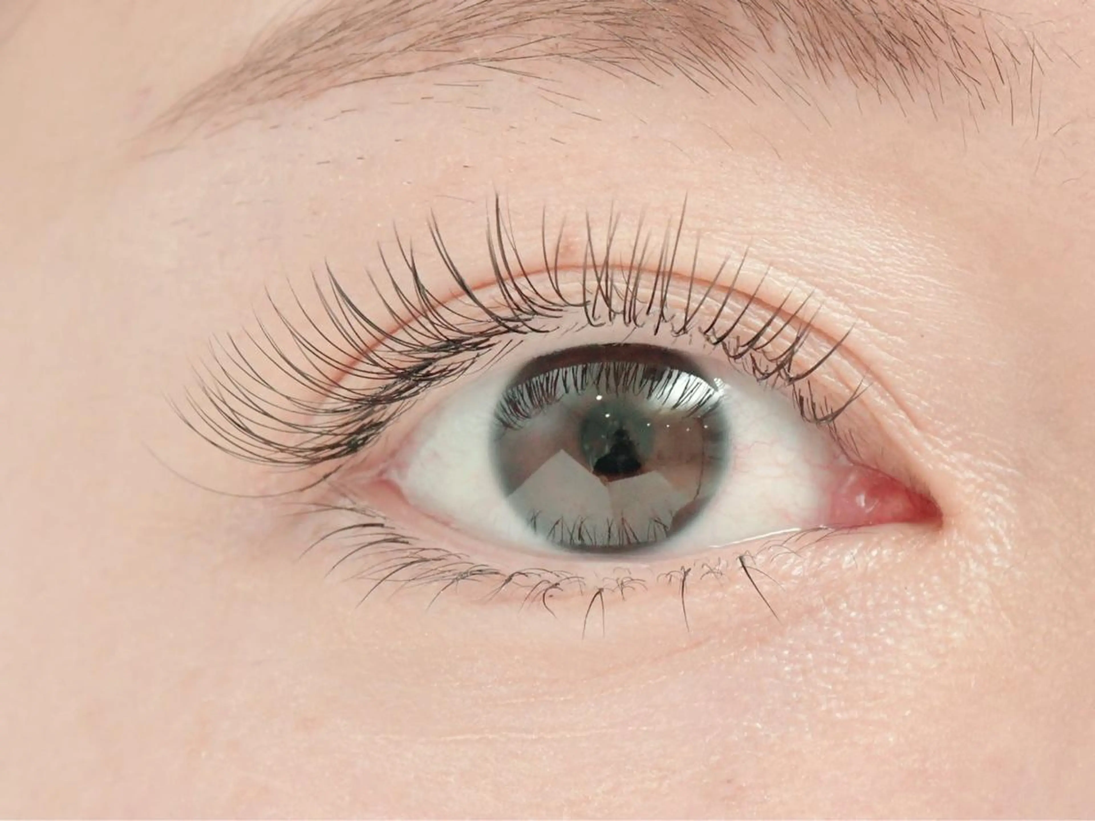 マツエク・マツパ フラットラッシュ 🫧Ramo 大宮店🍒のマツエク・マツパデザイン