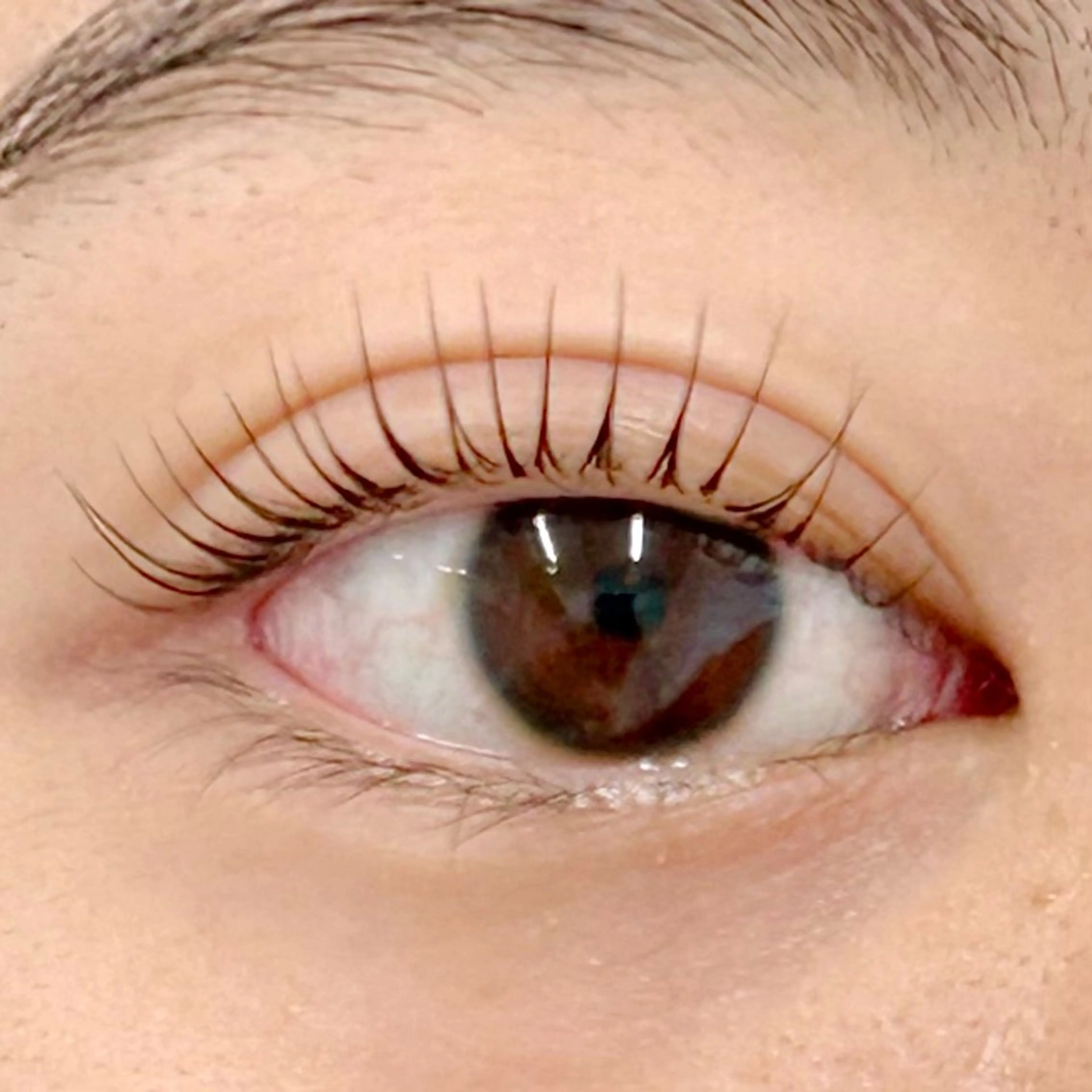 マツエク・マツパ 一重×まつ毛パーマ BellFlower Aki（眉・まつげ）のマツエク・マツパデザイン