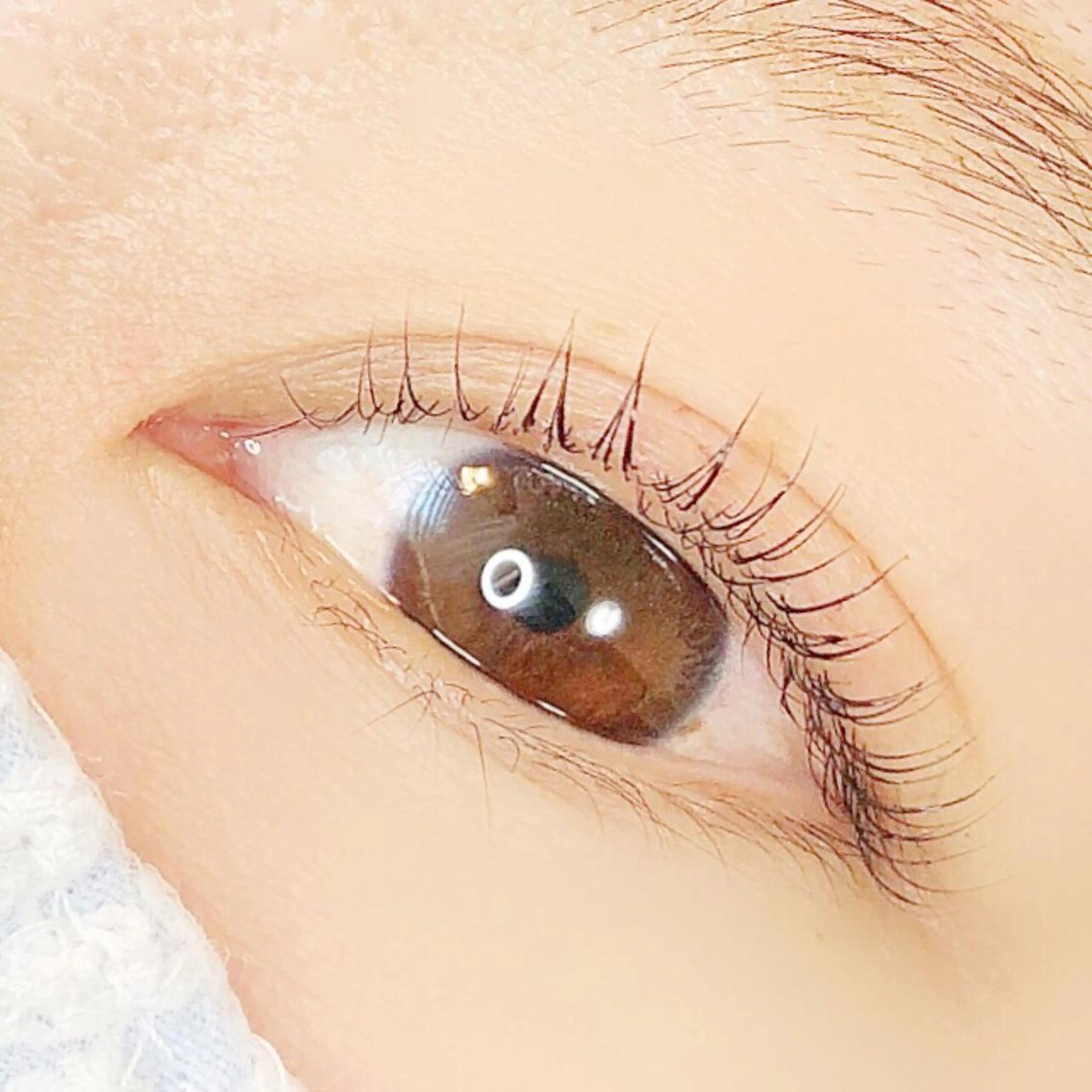 マツエク・マツパ 一重×まつ毛パーマ Beauty Salon miliのマツエク・マツパデザイン