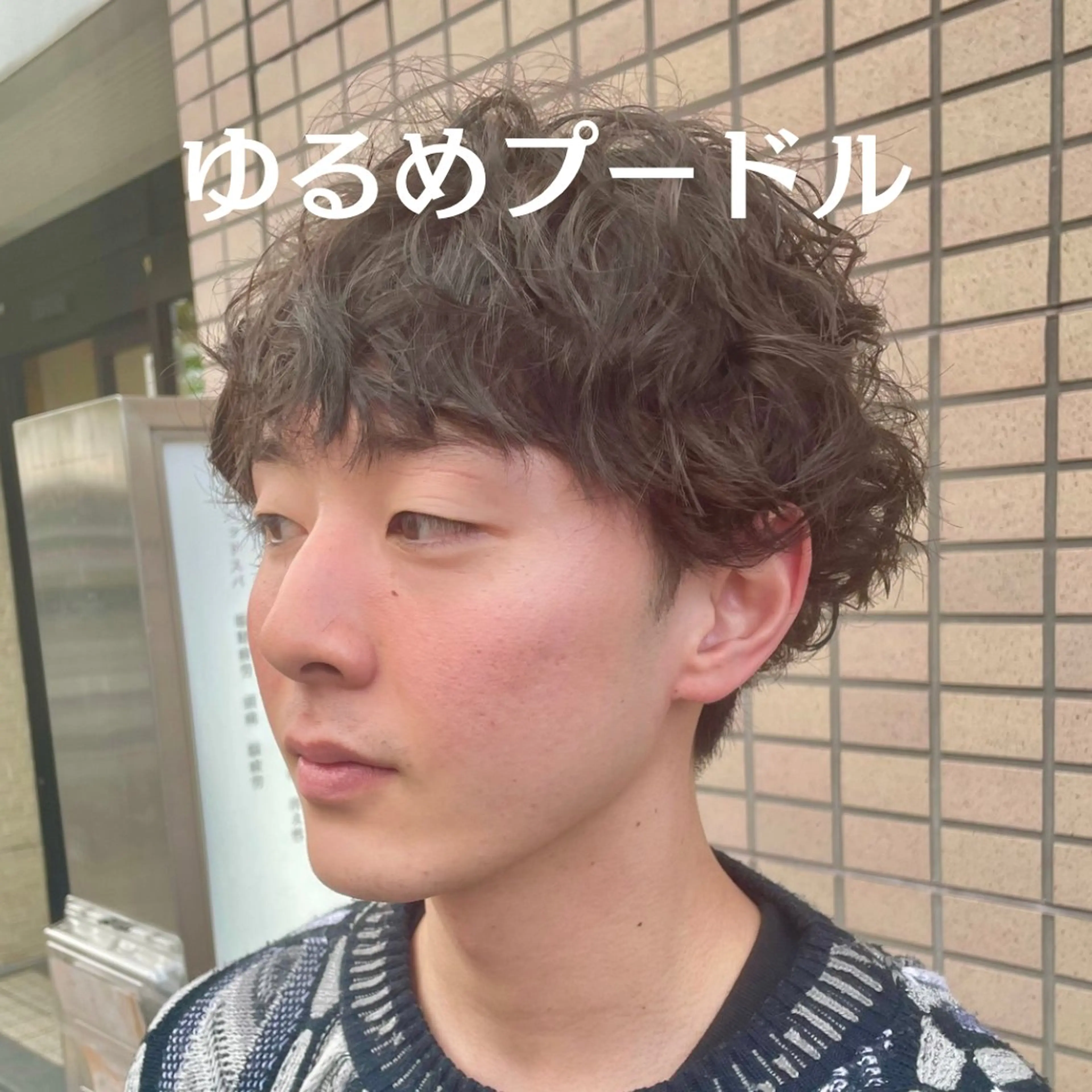パーマ メンズ メンズパーマ プードルパーマ プードルパーマ カット パーマ 長町/酸性ストレート /曲がる縮毛矯正のヘアスタイル