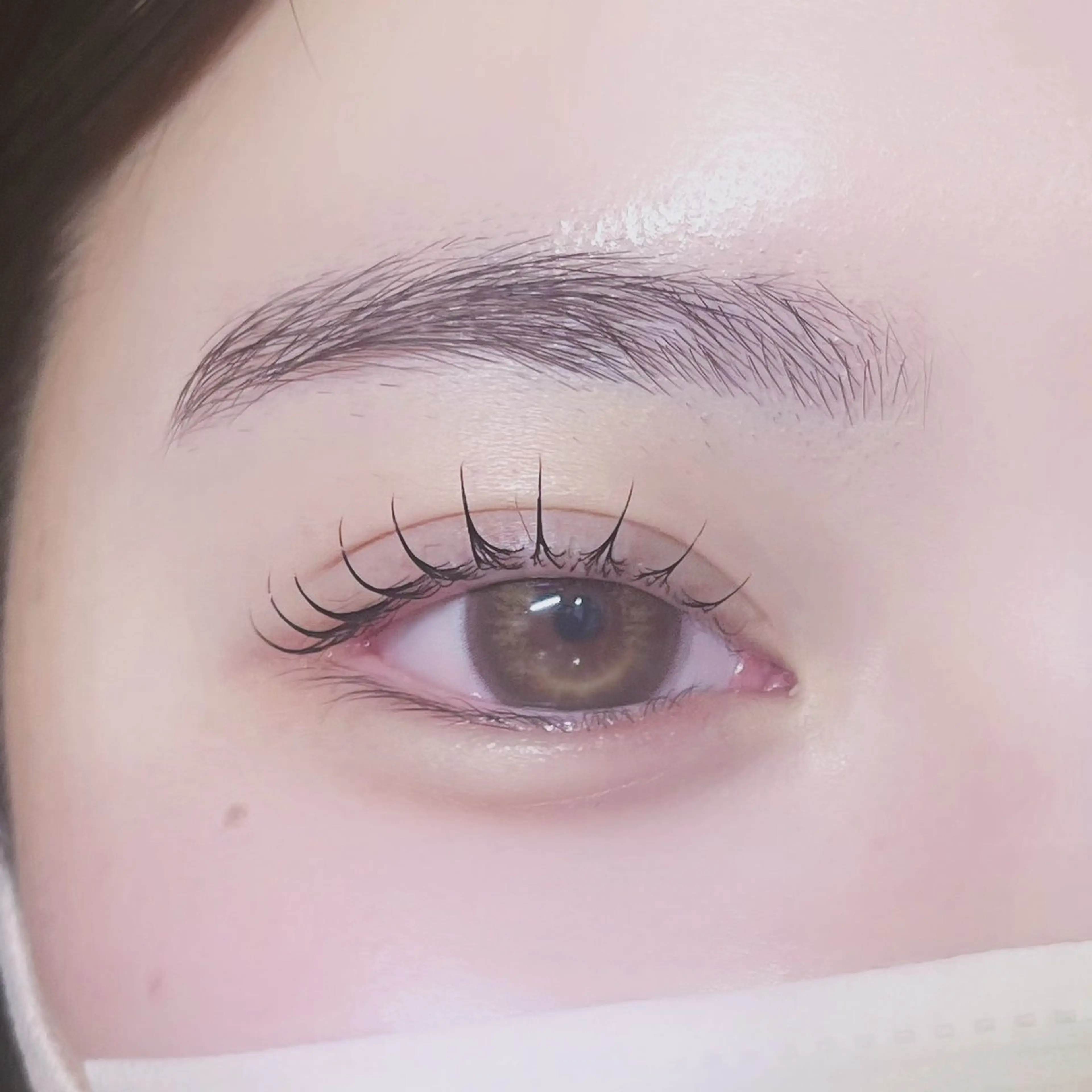 マツエク・マツパ Cカール マツパ MEPP所属・ひがしの ももかのマツエク・マツパデザイン