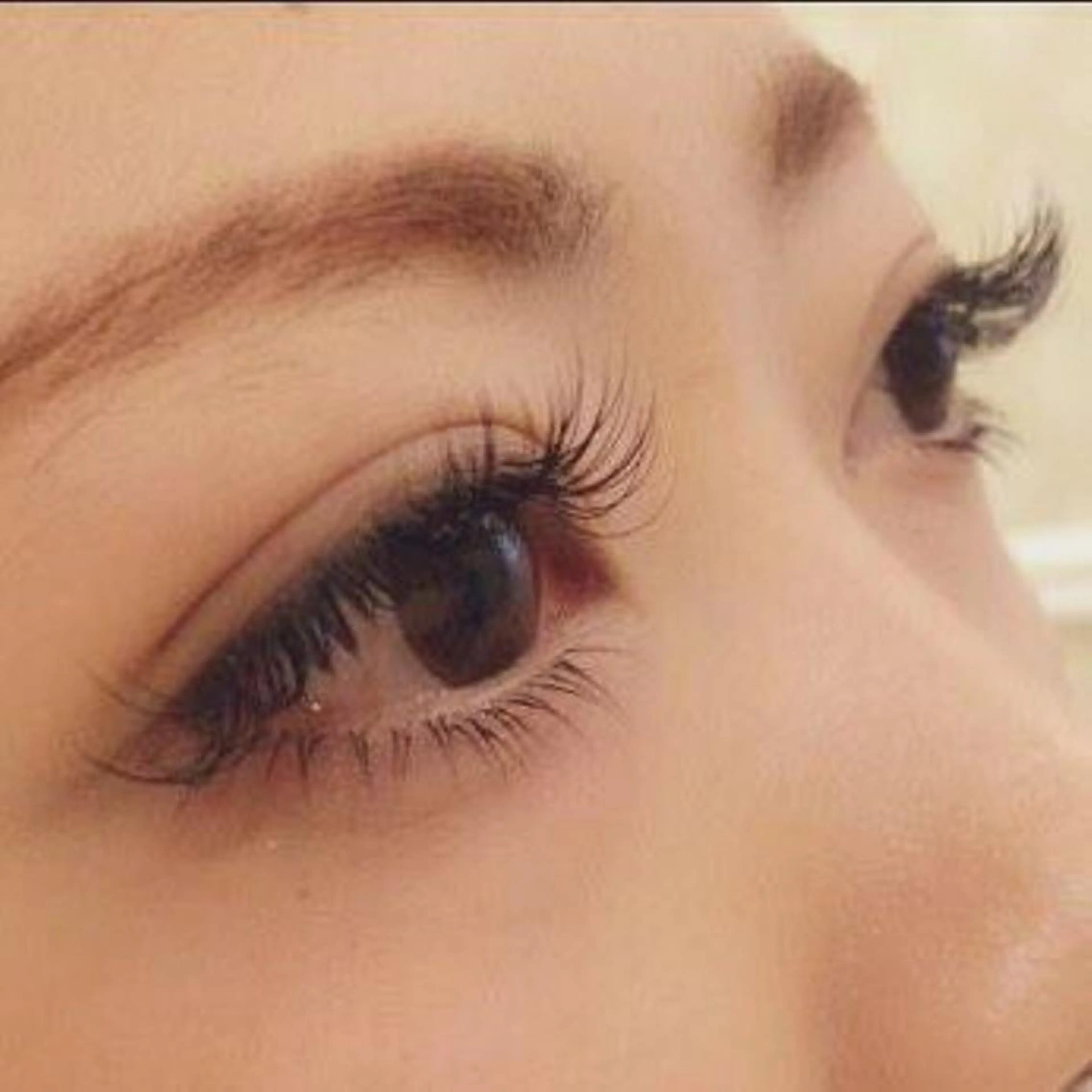 🖤 ブラウンカラー 🖤 フラットラッシュ100本 🖤の写真