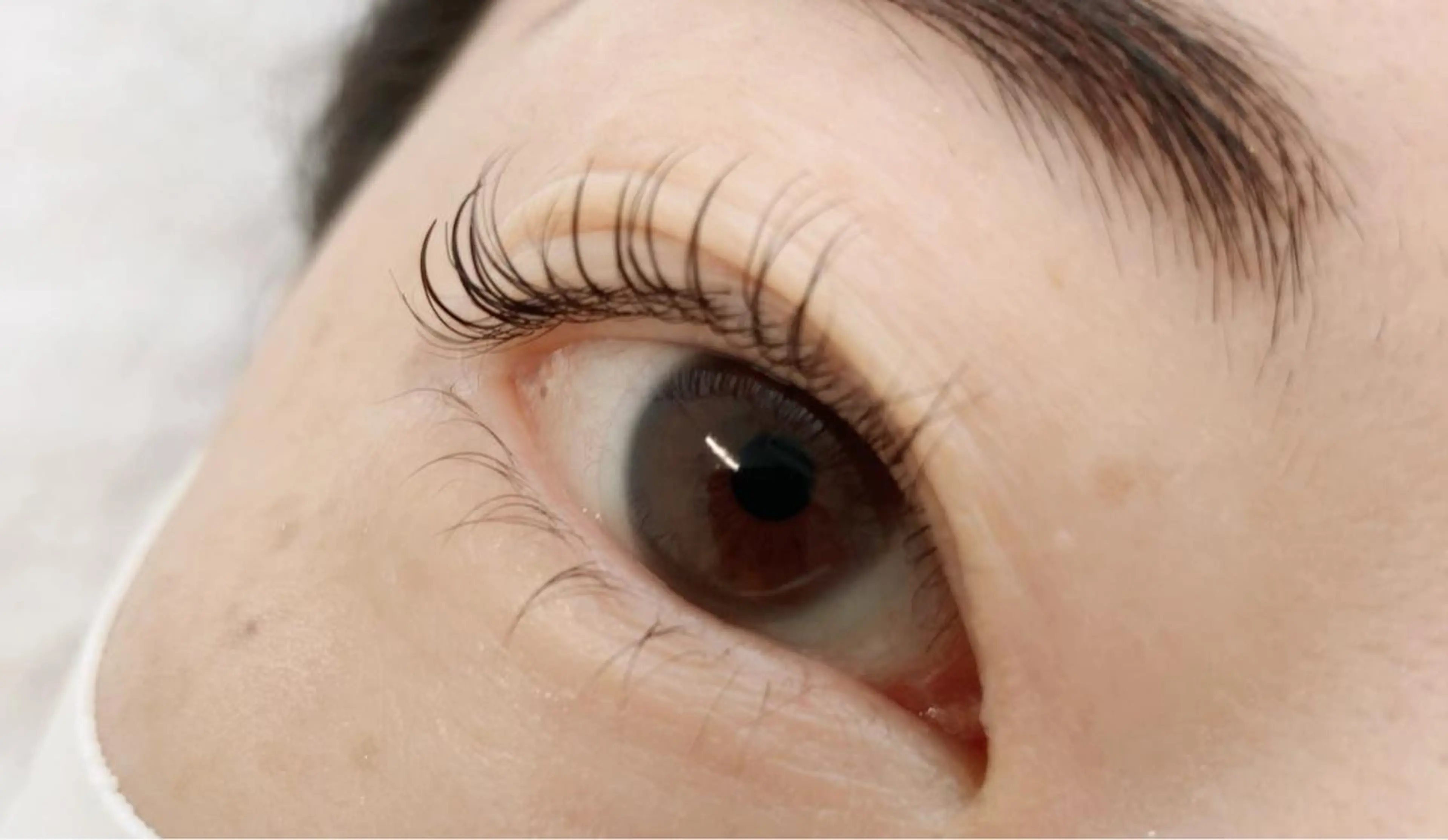 マツエク・マツパ 下まつげエクステ 一重×まつ毛パーマ Bruges 自由が丘の眉毛・アイブロウイメージ