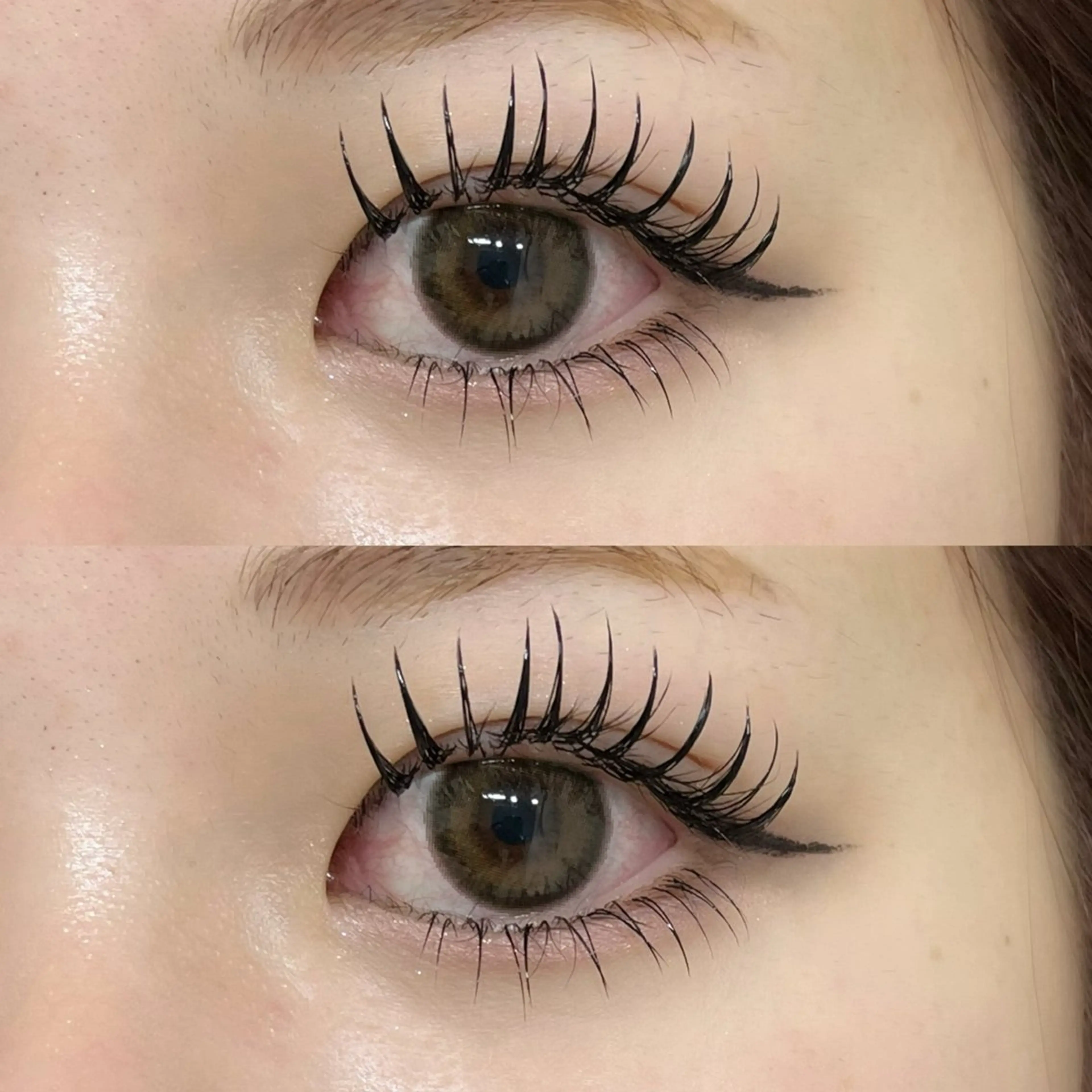 LEDバインド120束＆LED下マツエク40本🦋コーティング付きの写真