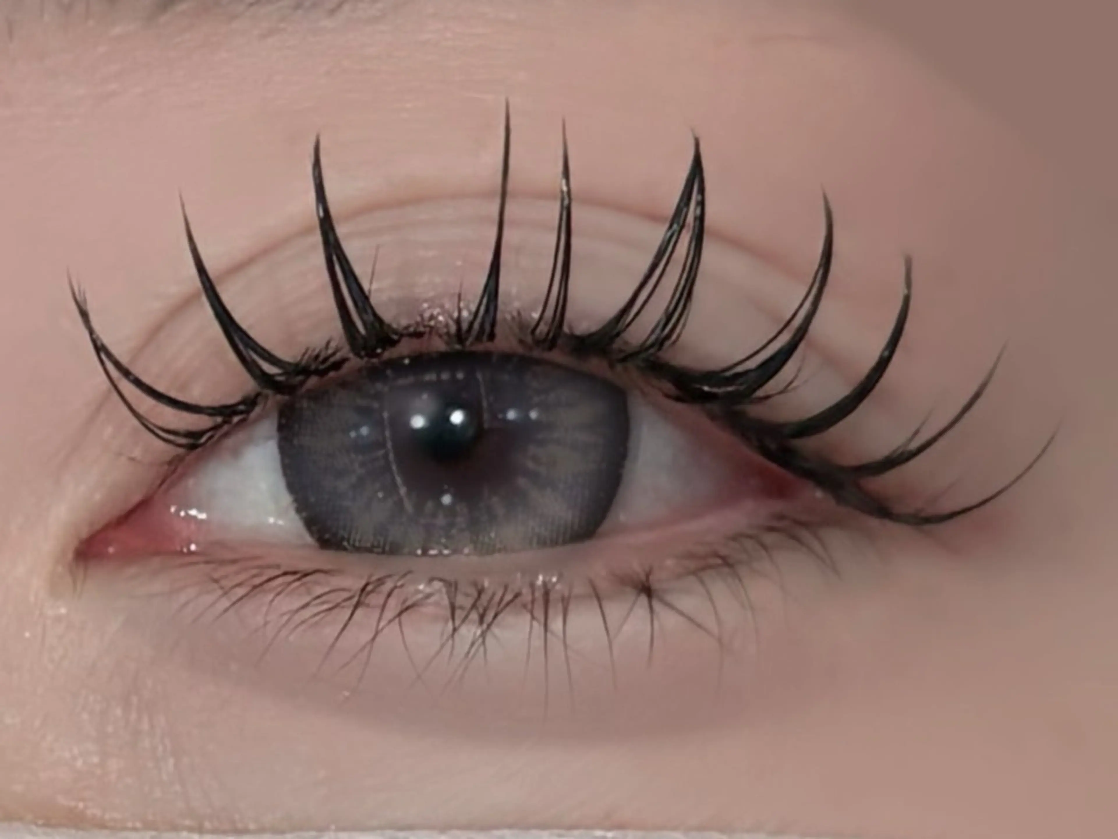 フラット80本(カラー無料)の写真