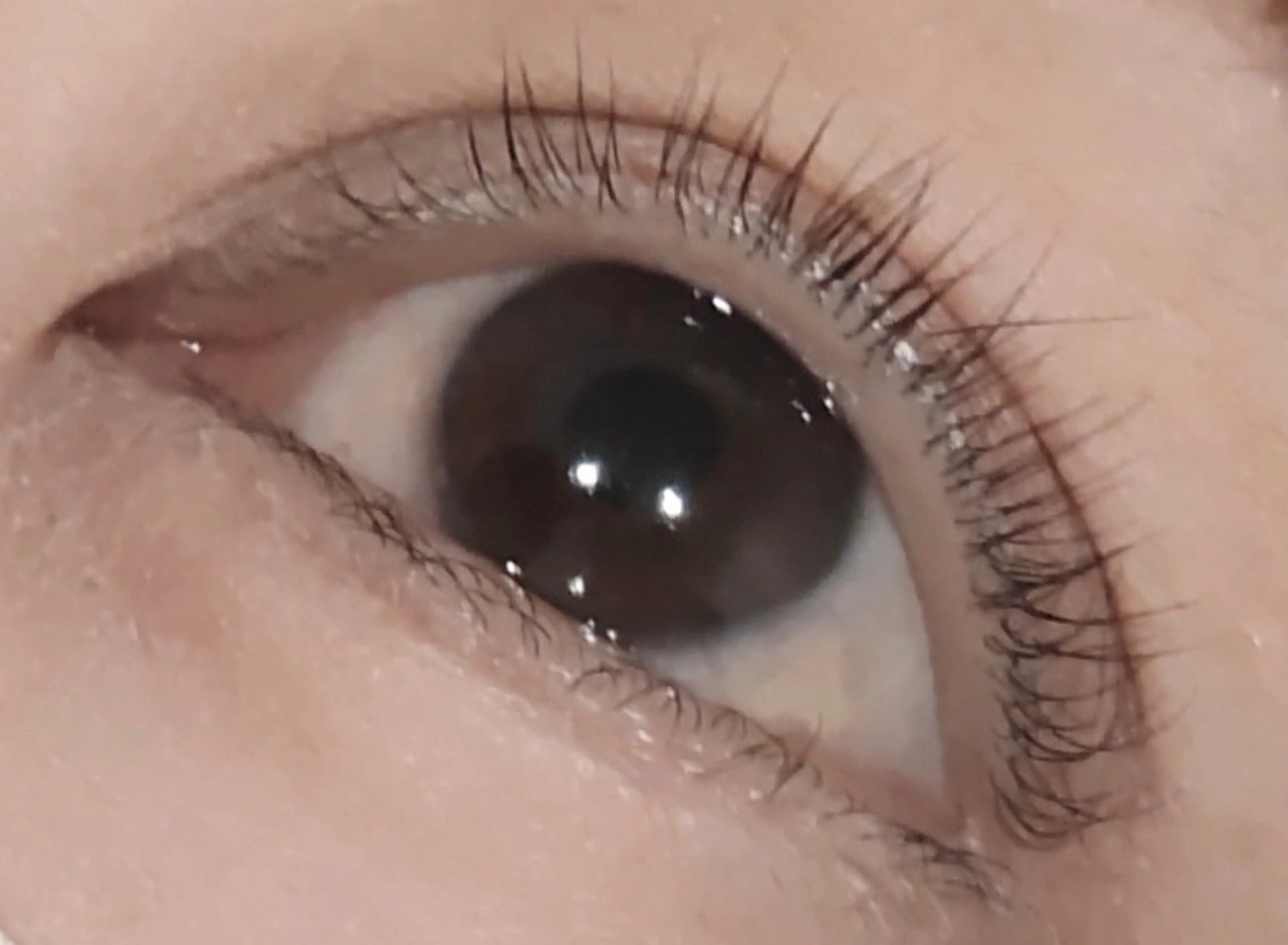 【練習モデル】の写真