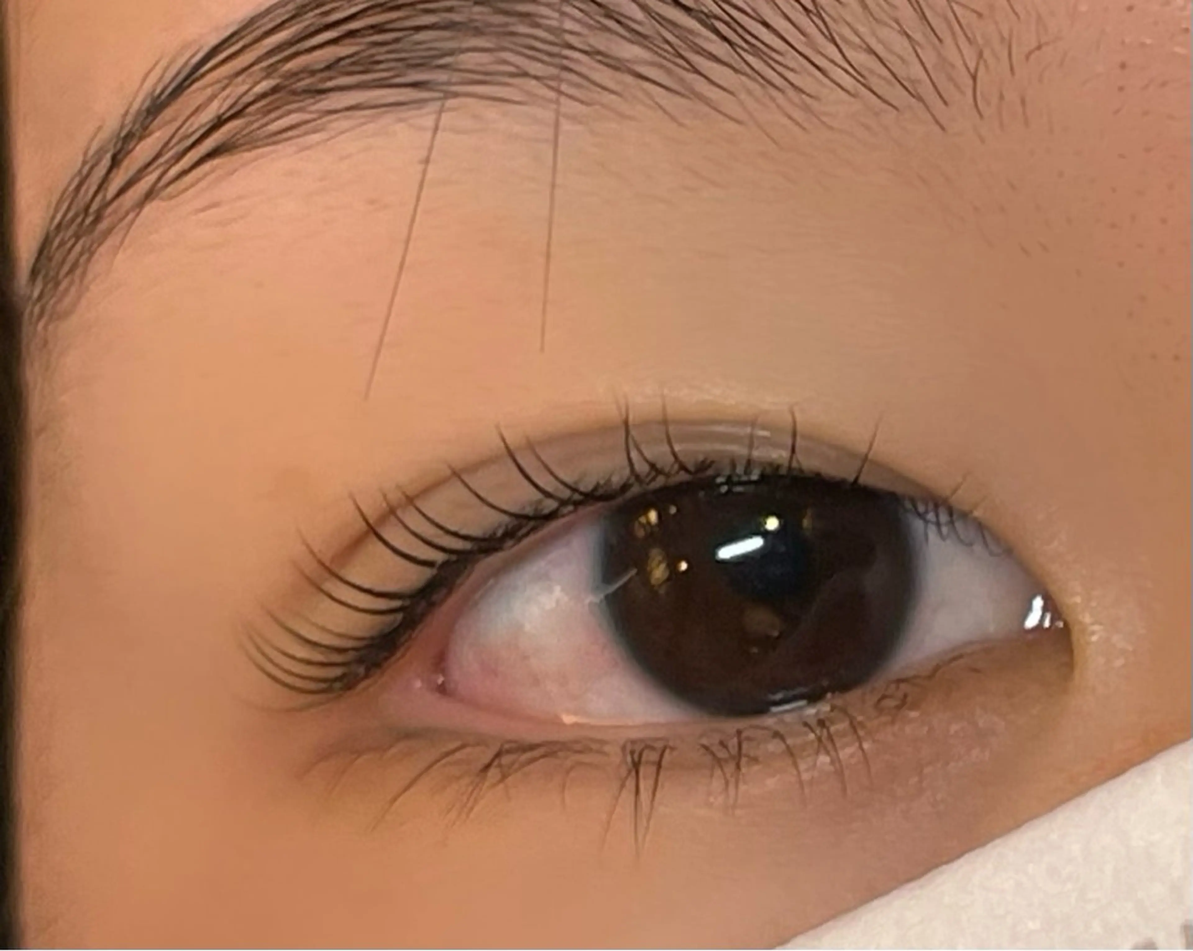 マツエク・マツパ まつ毛パーマ・パリジェンヌ専門店 chocolat 山科2号店所属・chocolat ２号店yukaのマツエク・マツパデザイン