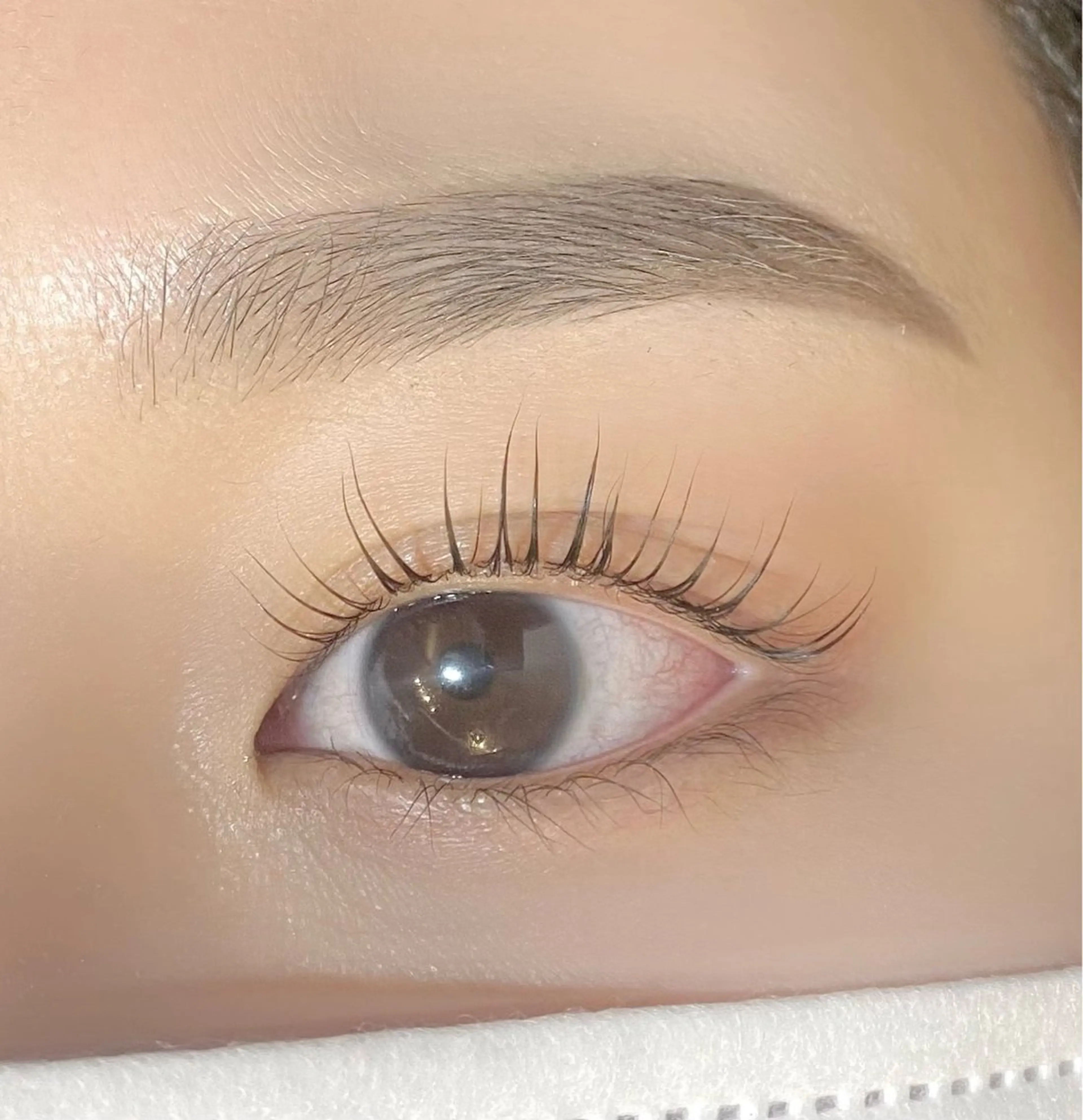 【研修モデル】眉毛WAXスタイリングの写真
