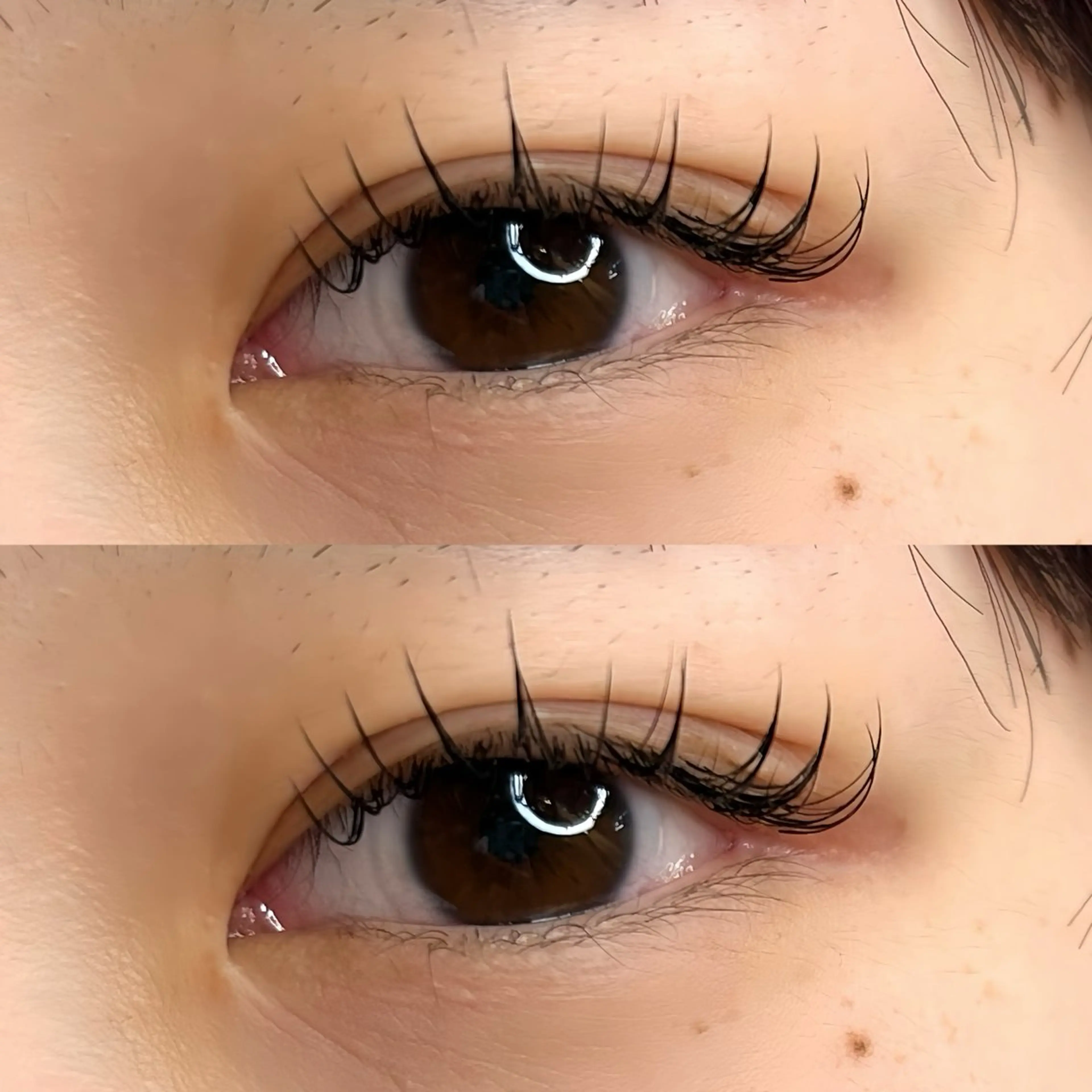 マツエク・マツパ 束感まつ毛 Cカール フラットラッシュ マツエク まつパ/マツエク/ 渋谷momokaのマツエク・マツパデザイン