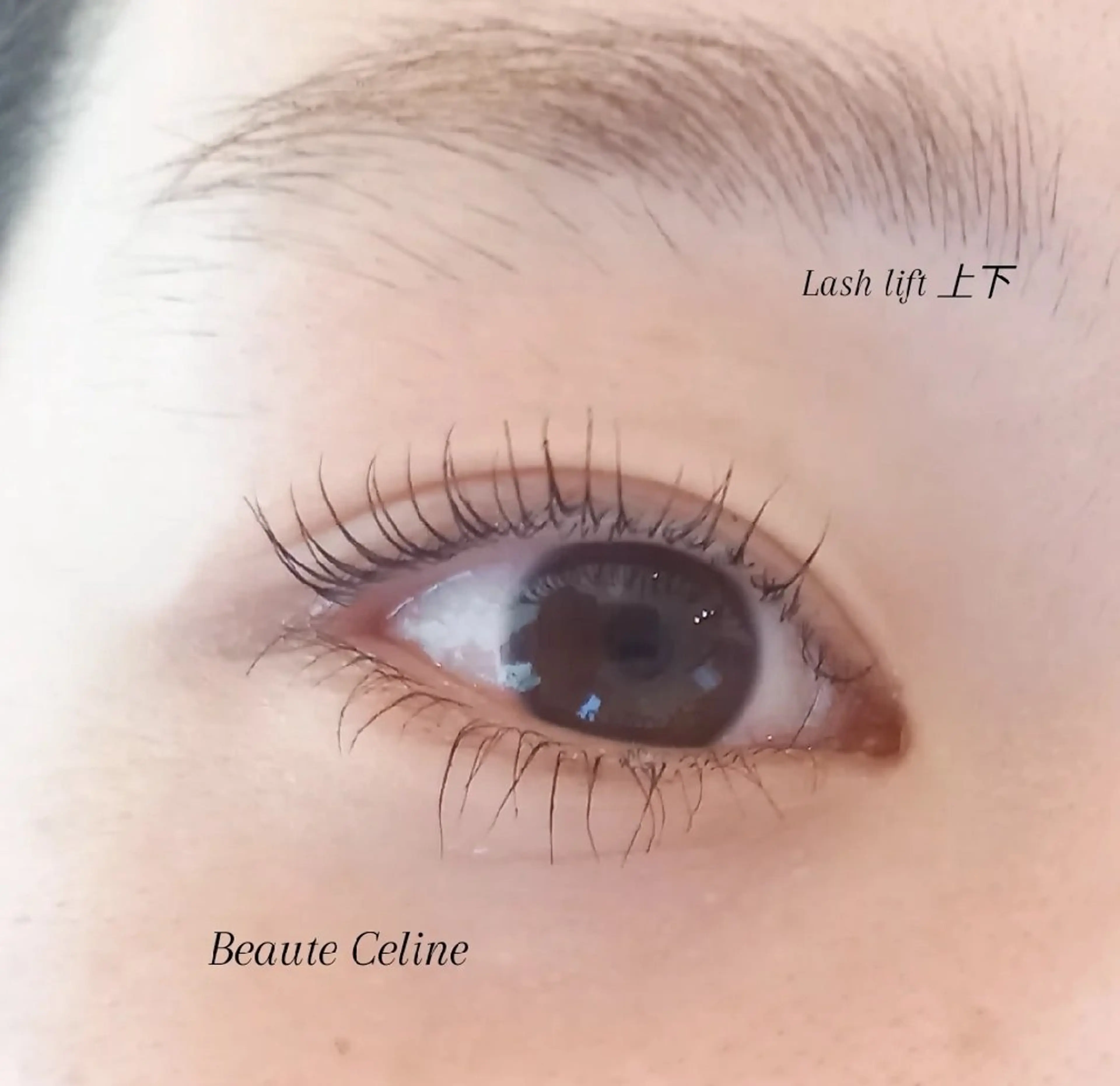 マツエク・マツパ 下まつげエクステ 一重×まつ毛パーマ マツパ beaute.celine所属・束感🌛beaute  celineのマツエク・マツパデザイン