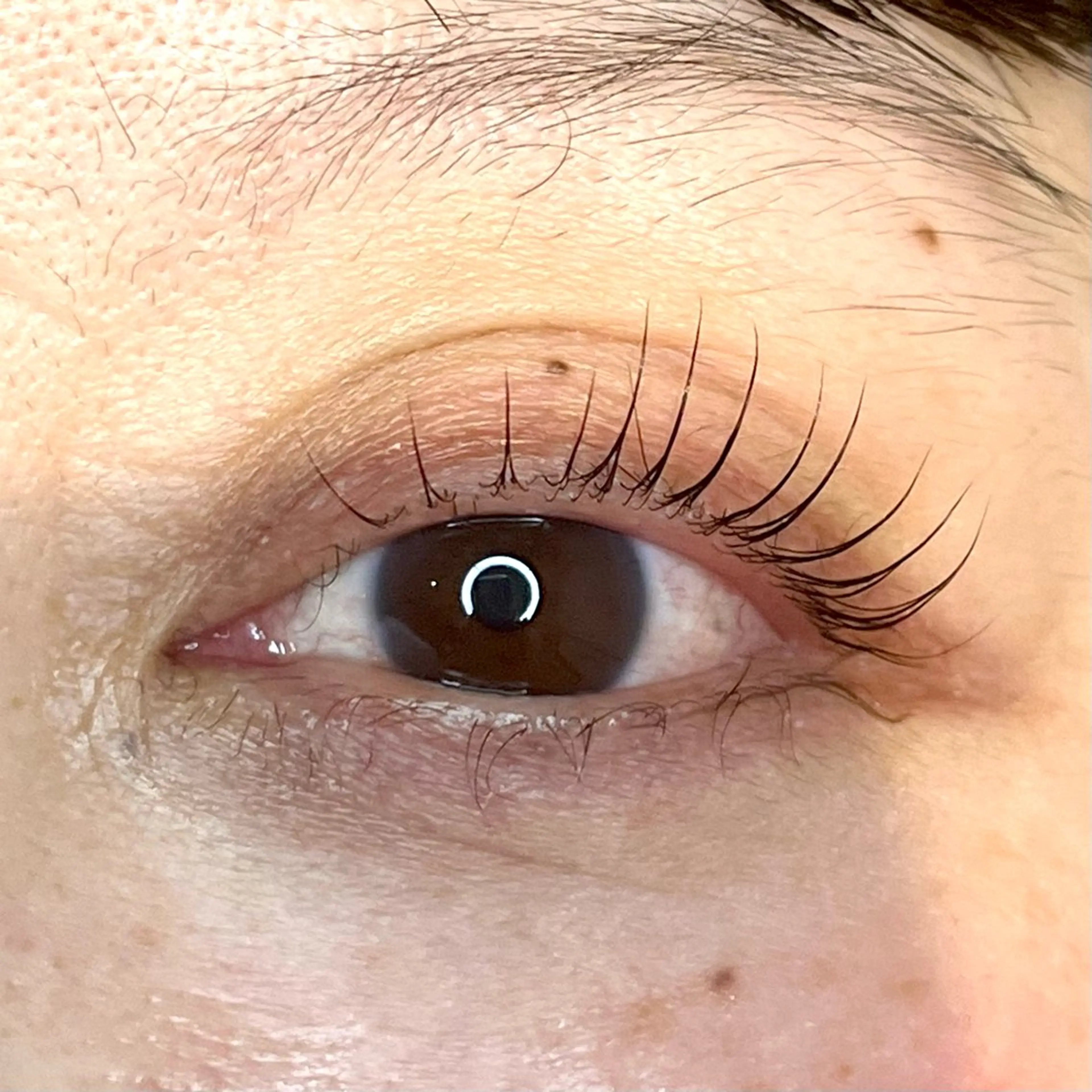 マツエク・マツパ narumi .のマツエク・マツパデザイン