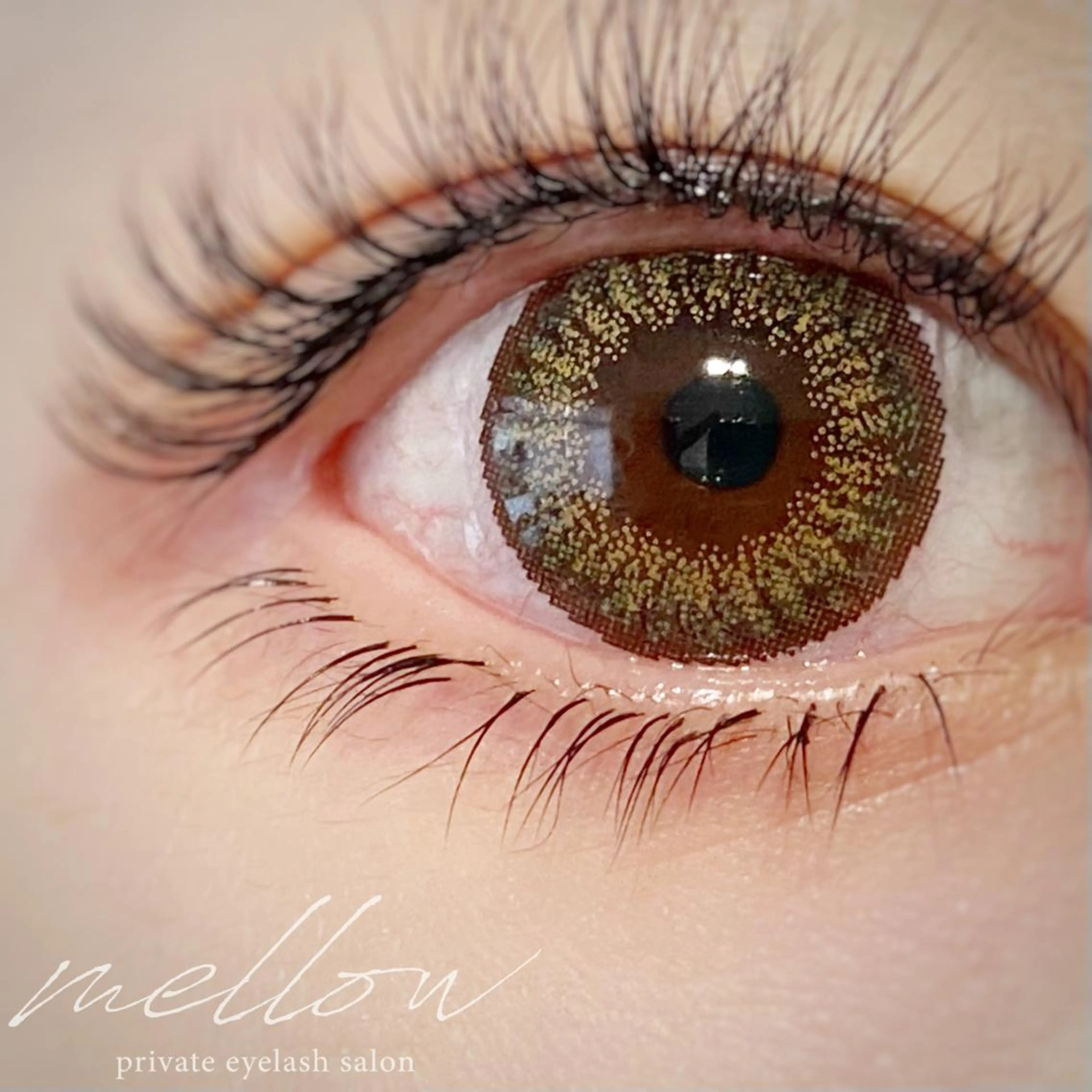 マツエク・マツパ 付け放題 下まつげエクステ プライベートアイラッシュサロン mellow所属・mellow eyelashのマツエク・マツパデザイン