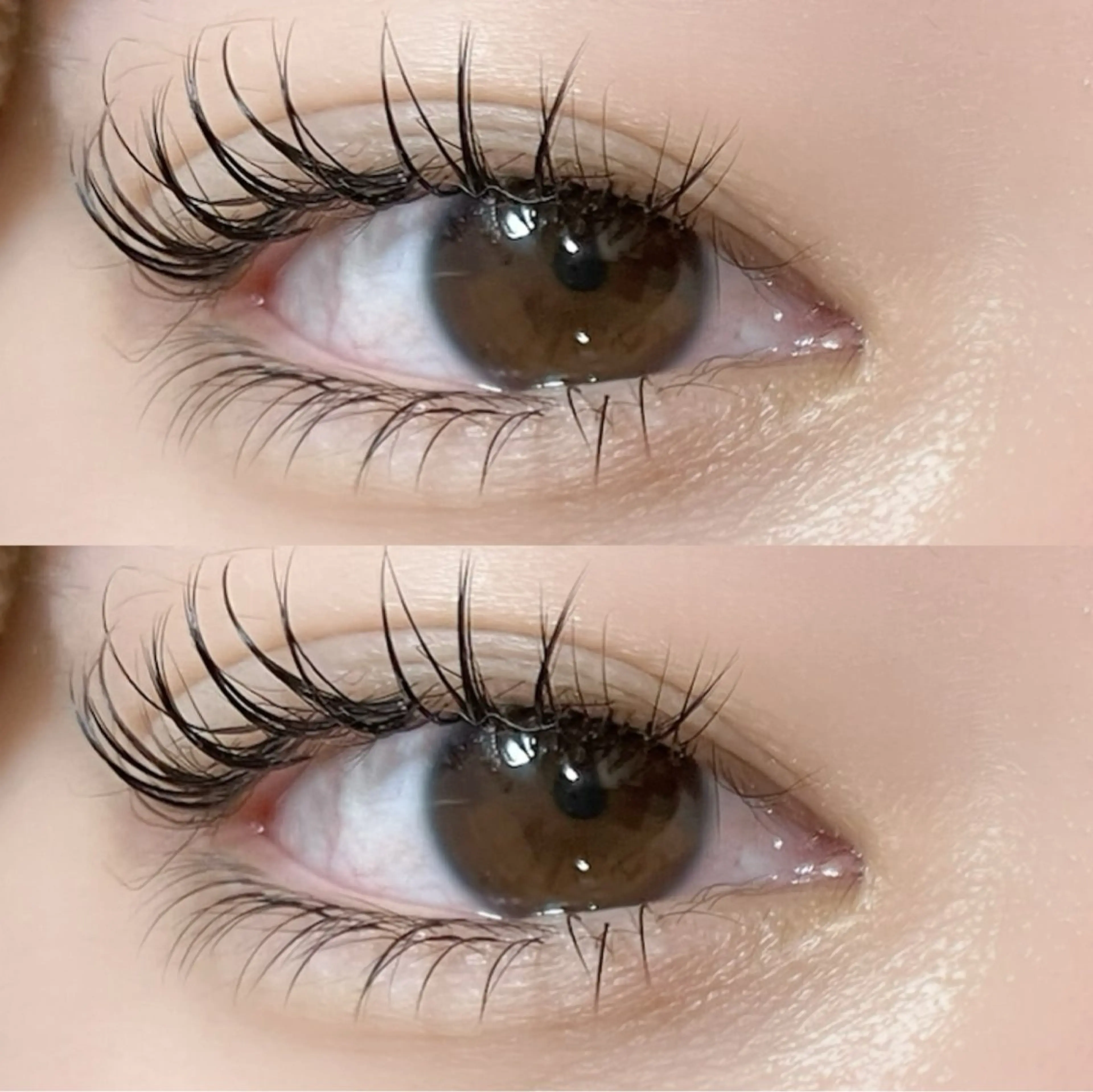 🌸下まつ毛エクステ20本🌸⚠️必ず注意事項をご確認くださいの写真