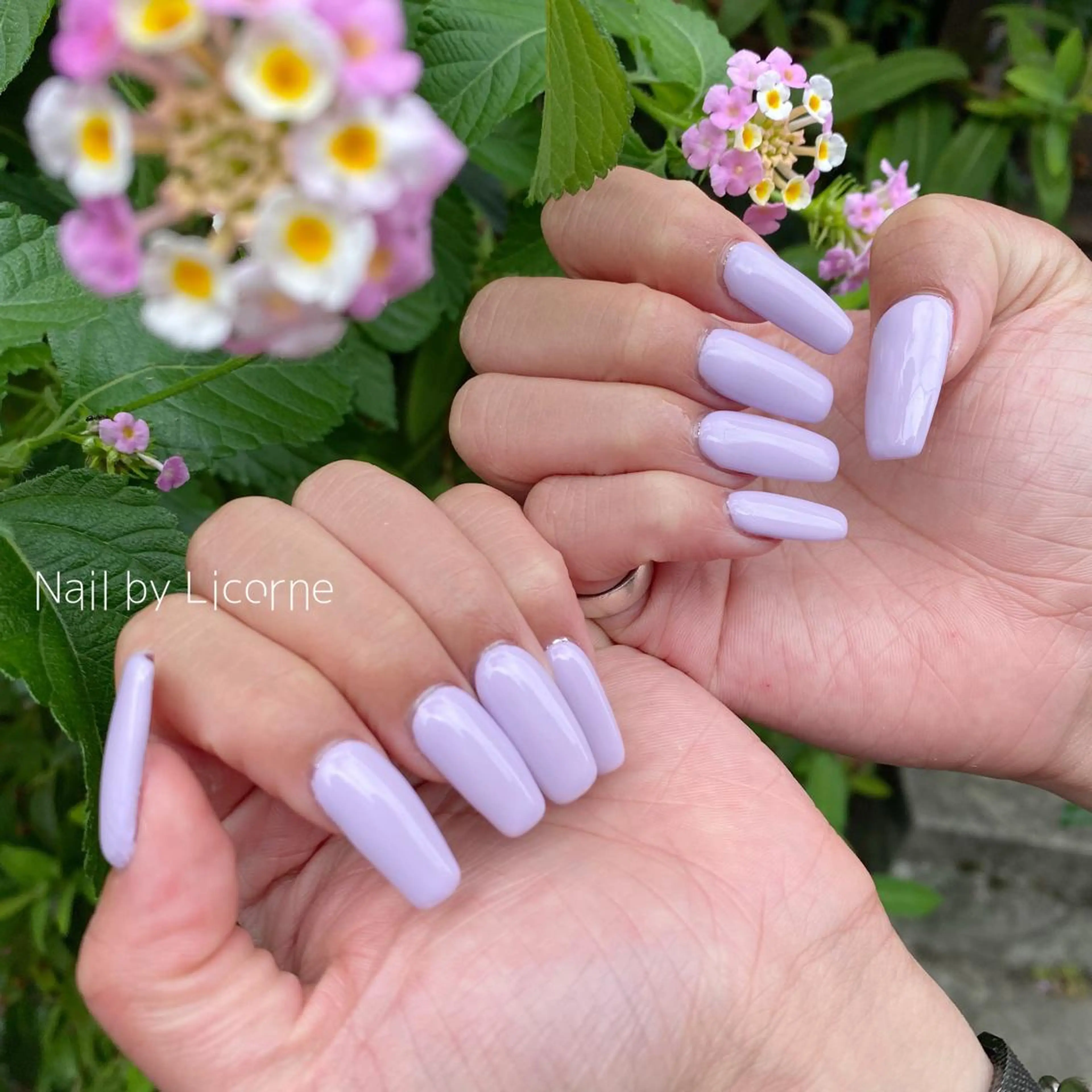 ネイル アートネイル オーロラネイル フレンチネイル 氷ネイル・うるうるネイル マグネットネイル Nail by Licorneのネイルデザイン
