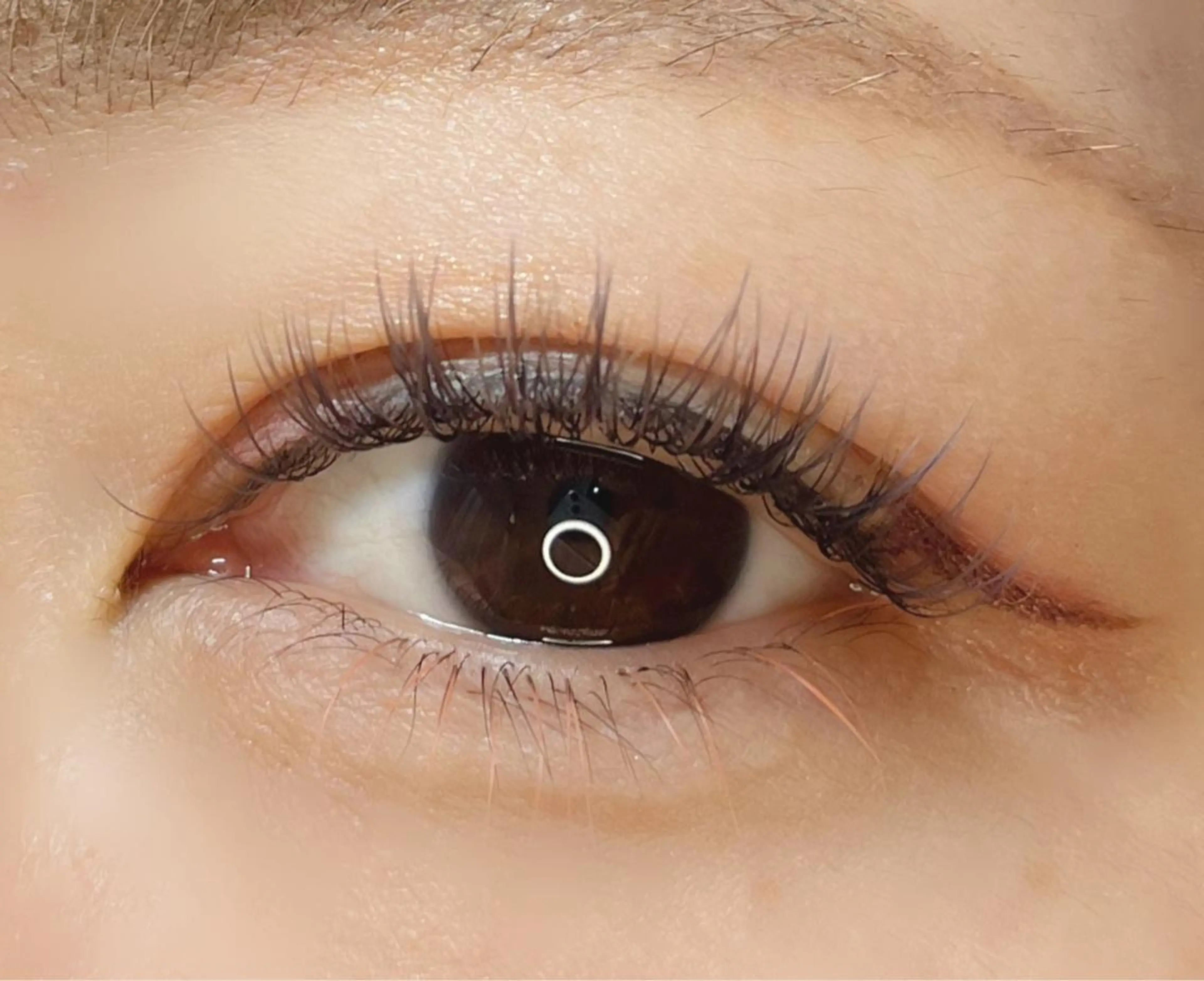 マツエク・マツパ その他(アイブロウ) 《eyelash ｉｉｔｅ》森のマツエク・マツパデザイン