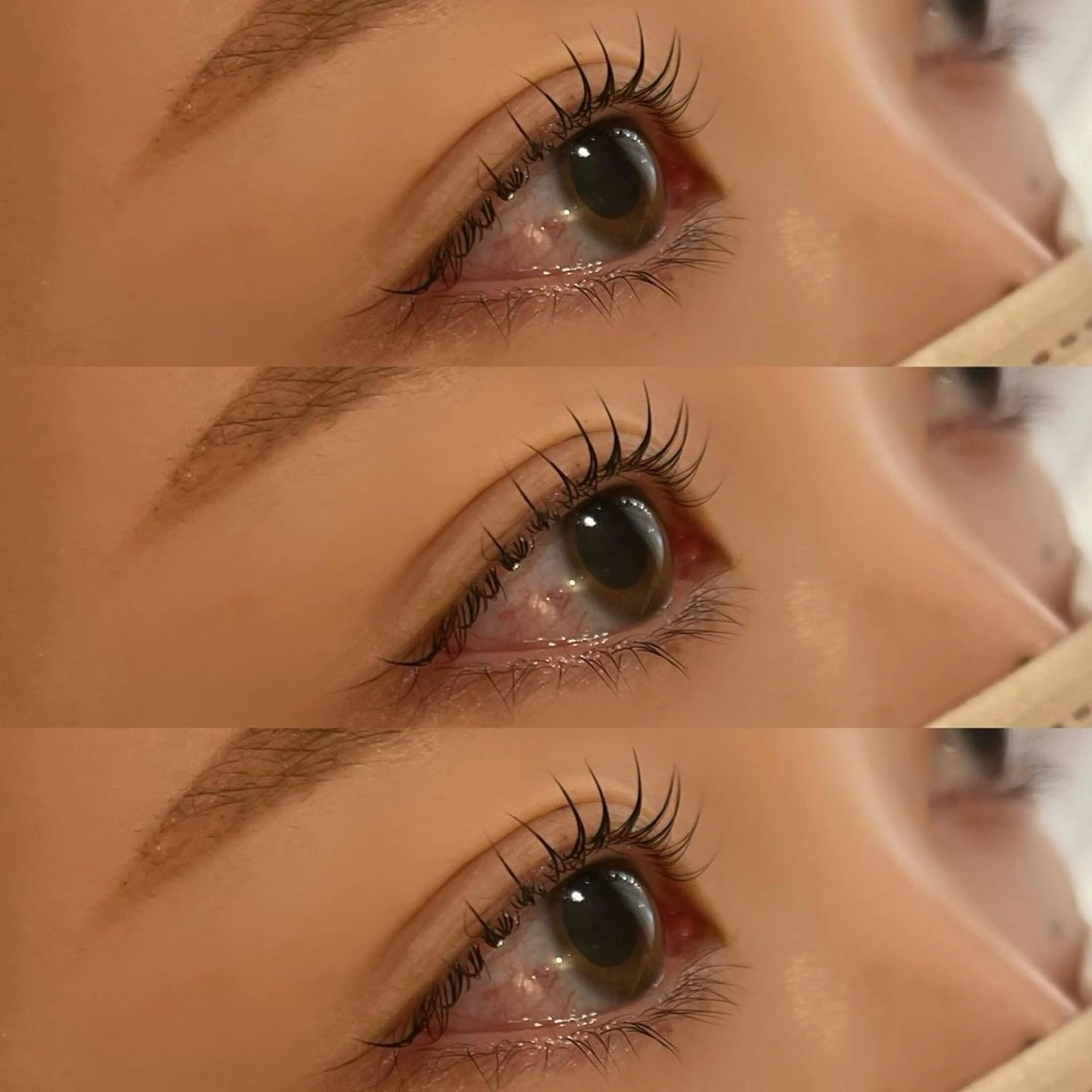 まつ毛パーマ＆eyebrow wax 🤍🫧の写真
