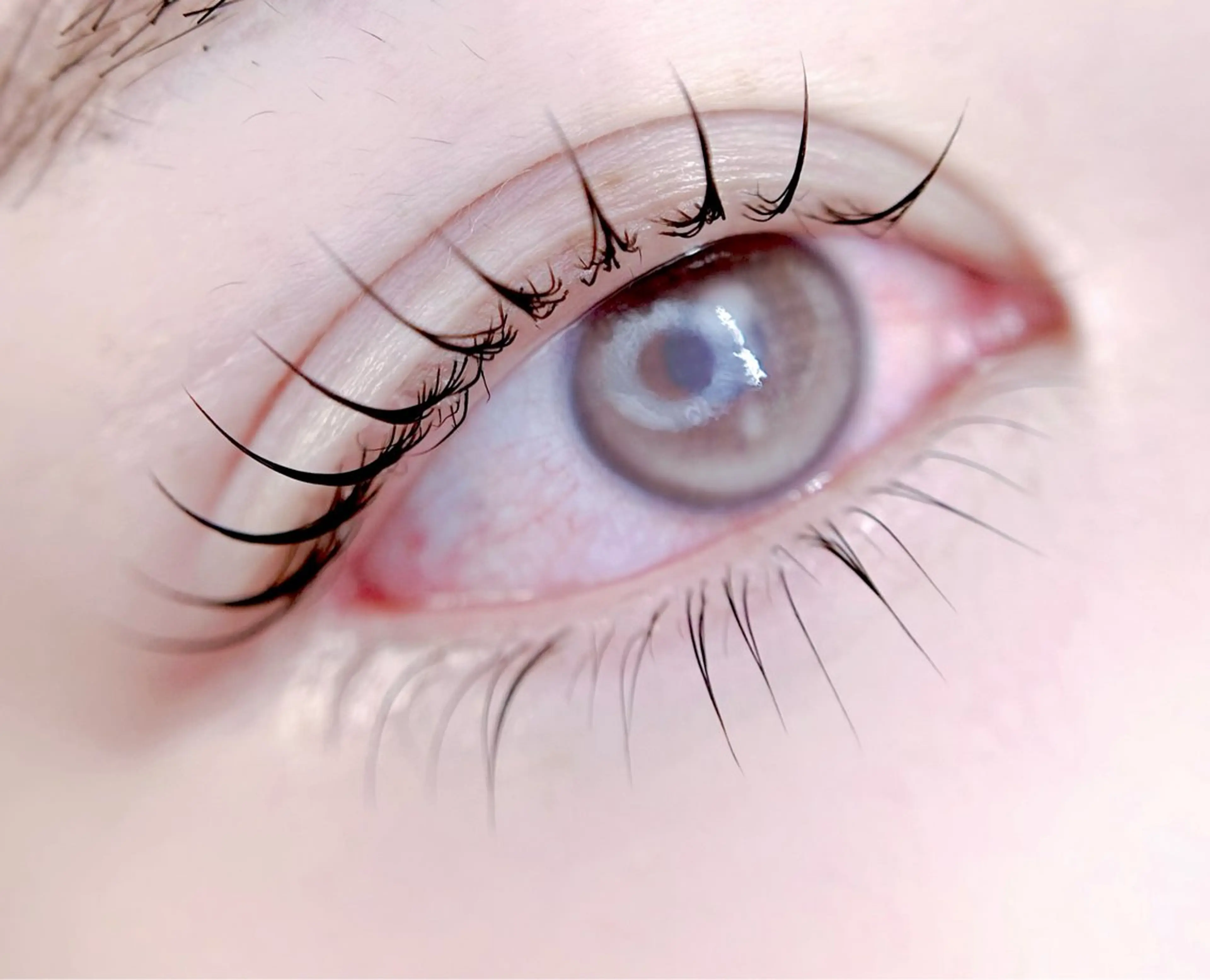 マツエク・マツパ マツパ eyelist. mizuki🐈⬛の眉毛・アイブロウイメージ