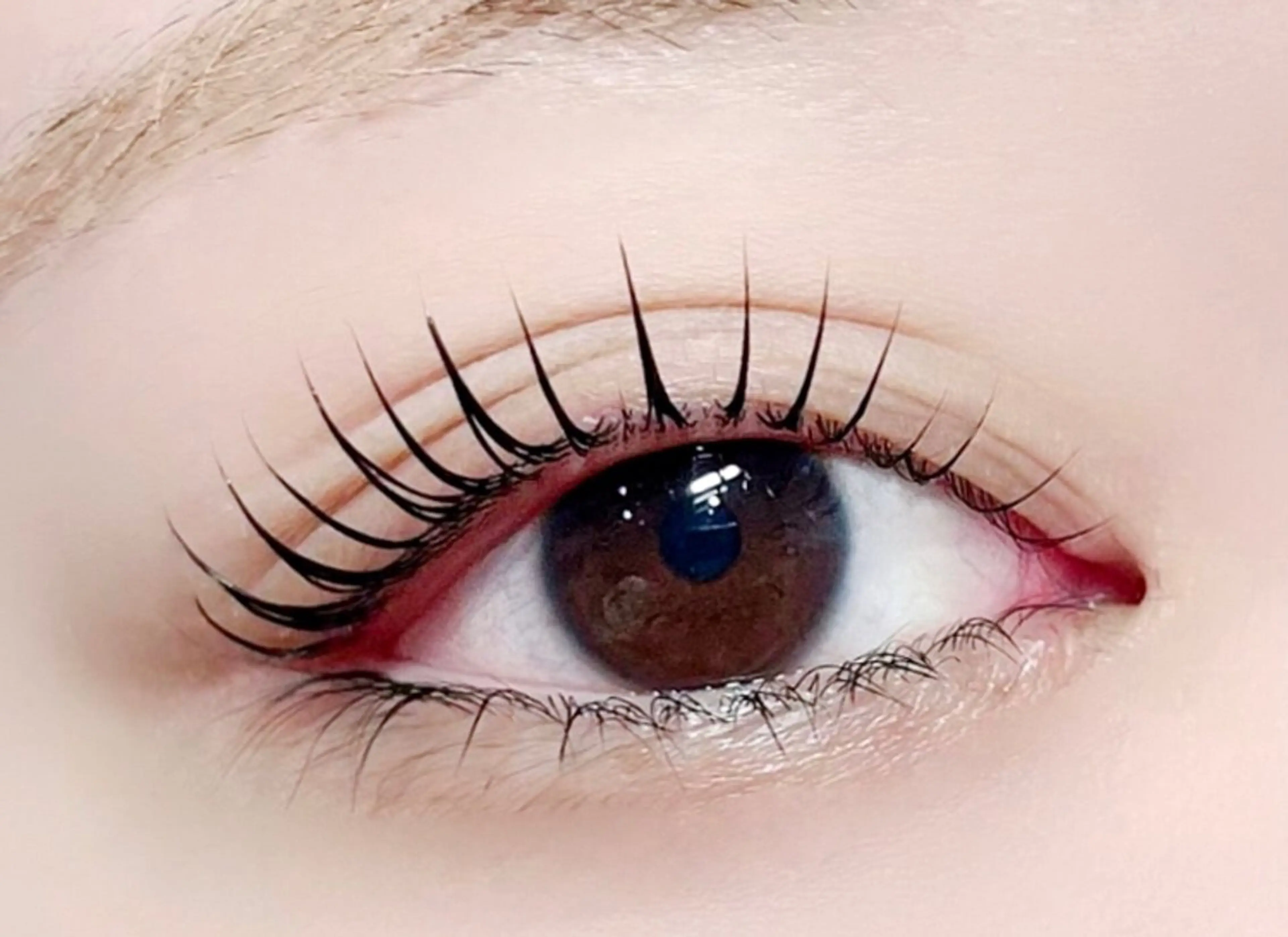 マツエク・マツパ マツパ アレグレス所属・アレグレス@池袋 🌹大人気店🌹のマツエク・マツパデザイン